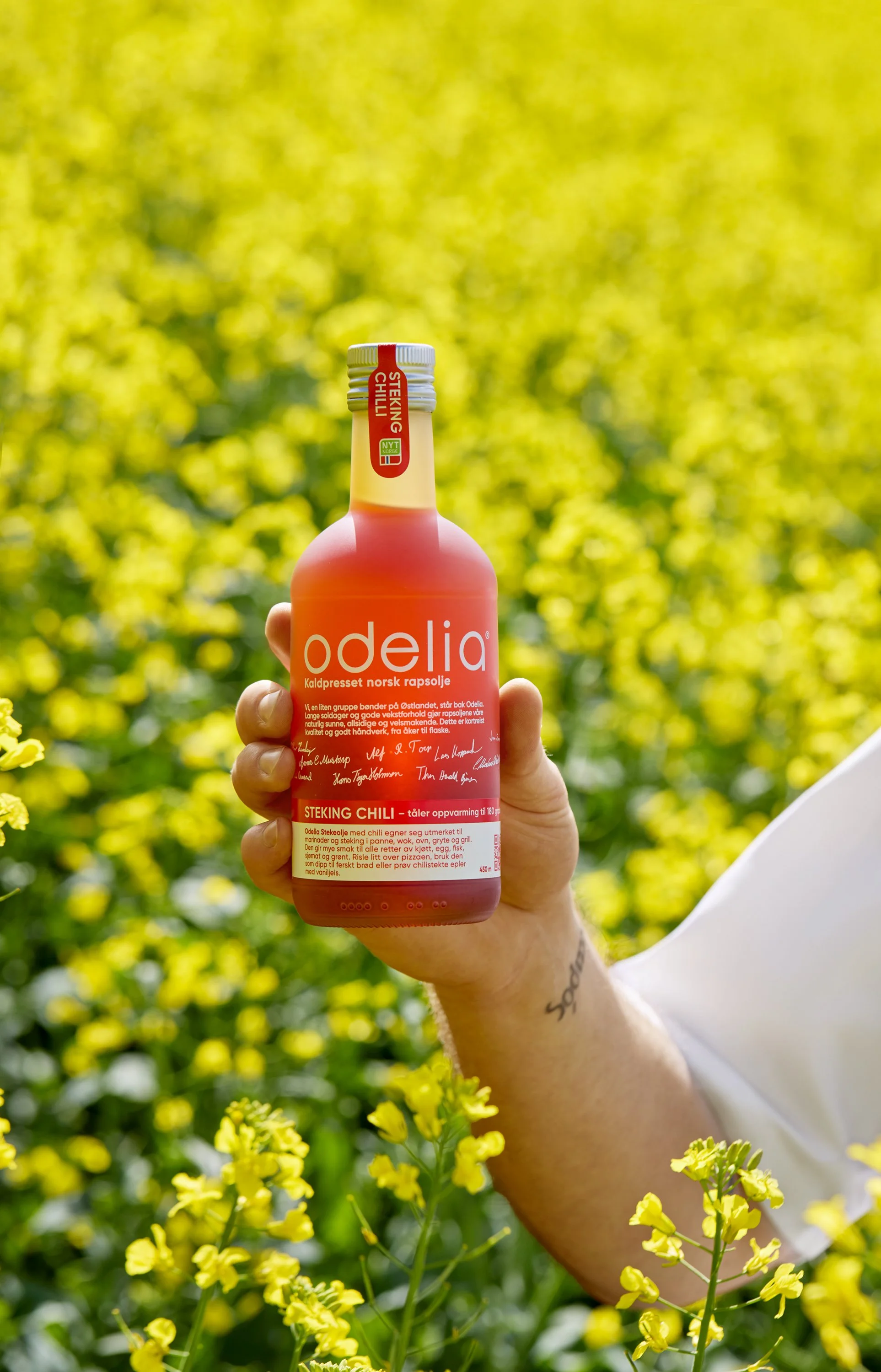 Fettsyreprofilen til rapsolje – hva den inneholder og hvorfor det har betydning