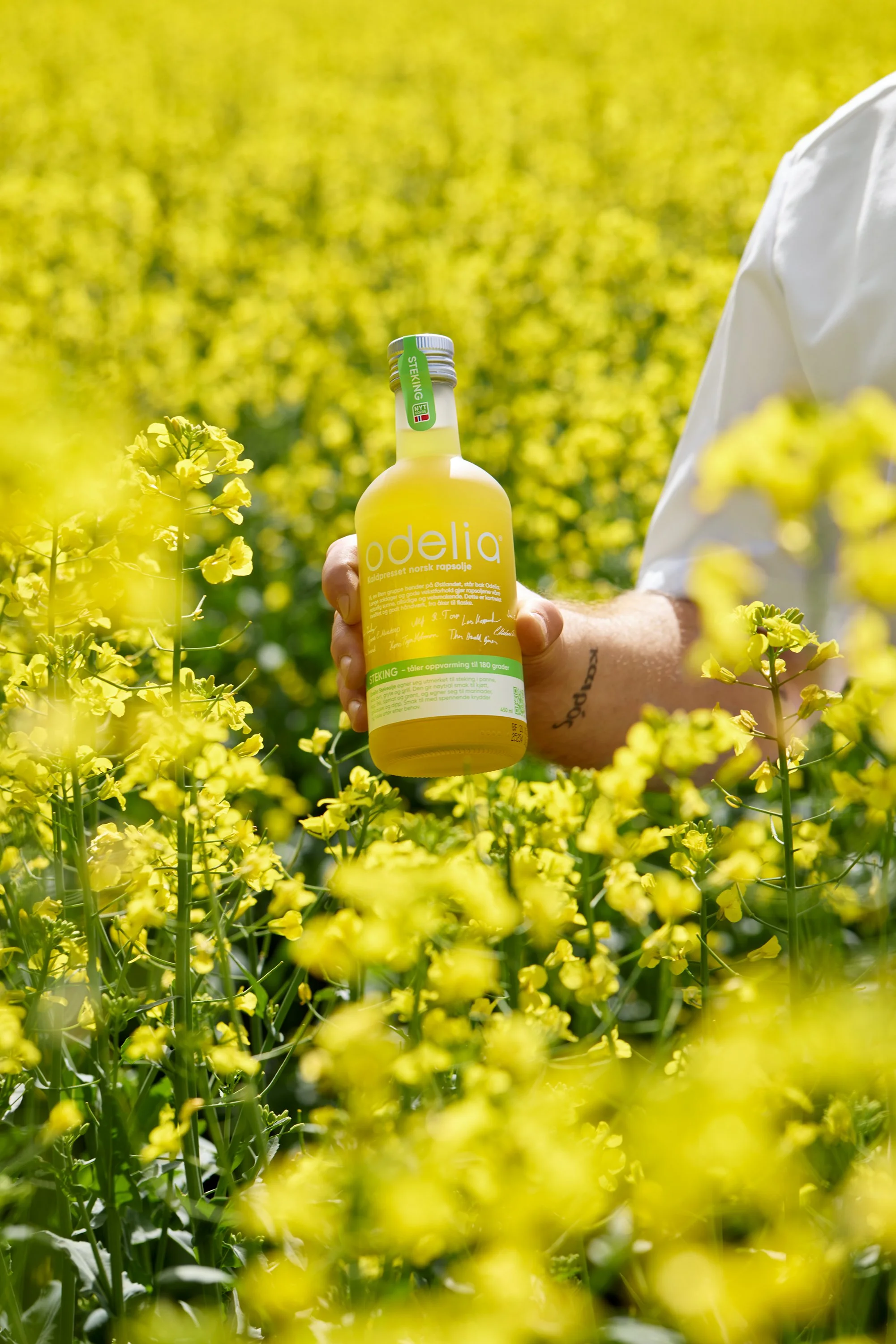 Hvorfor velge kaldpresset rapsolje?