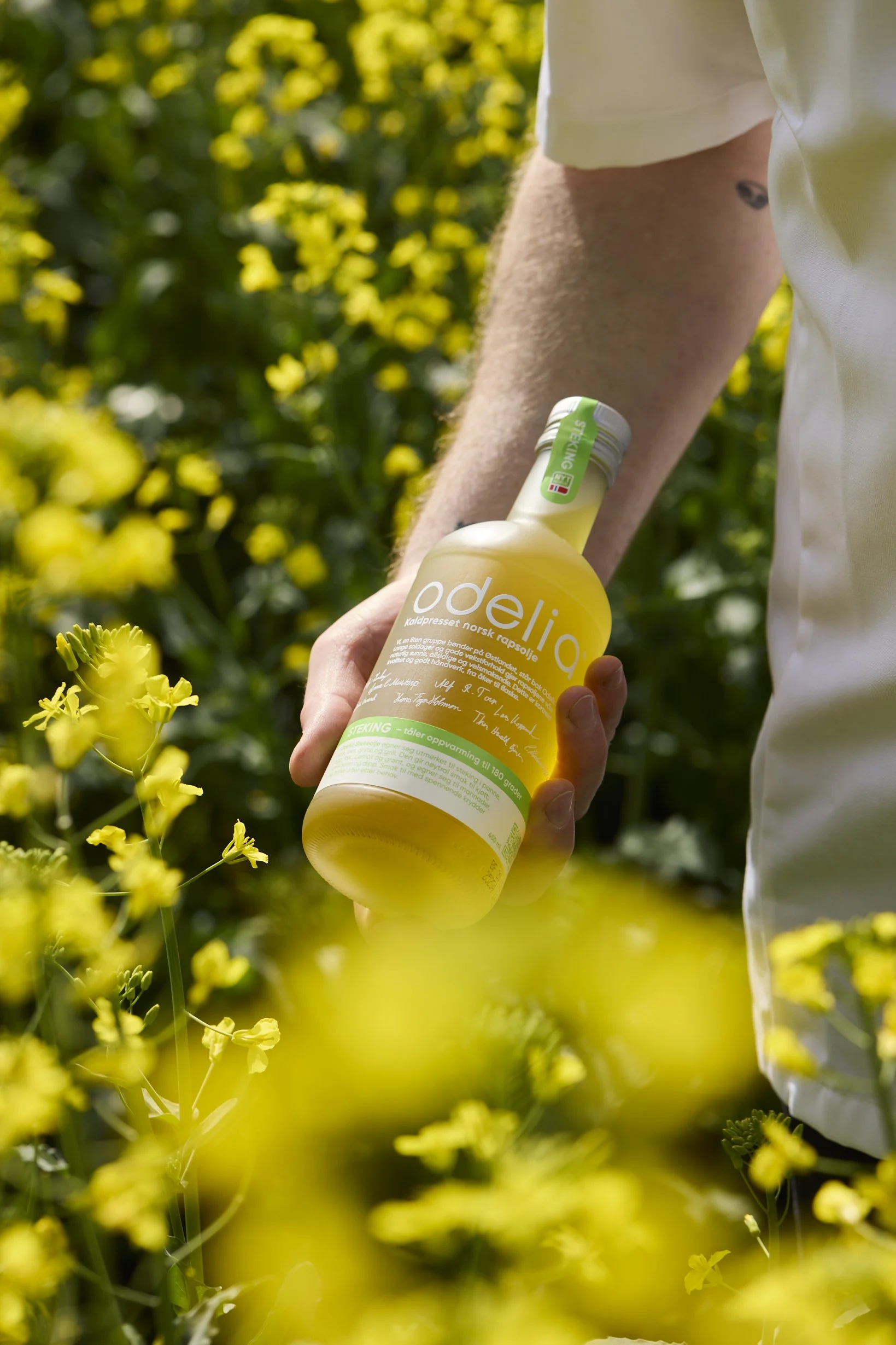 Odelia Kaldpresset Rapsolje holdes i en hånd i rapsåker