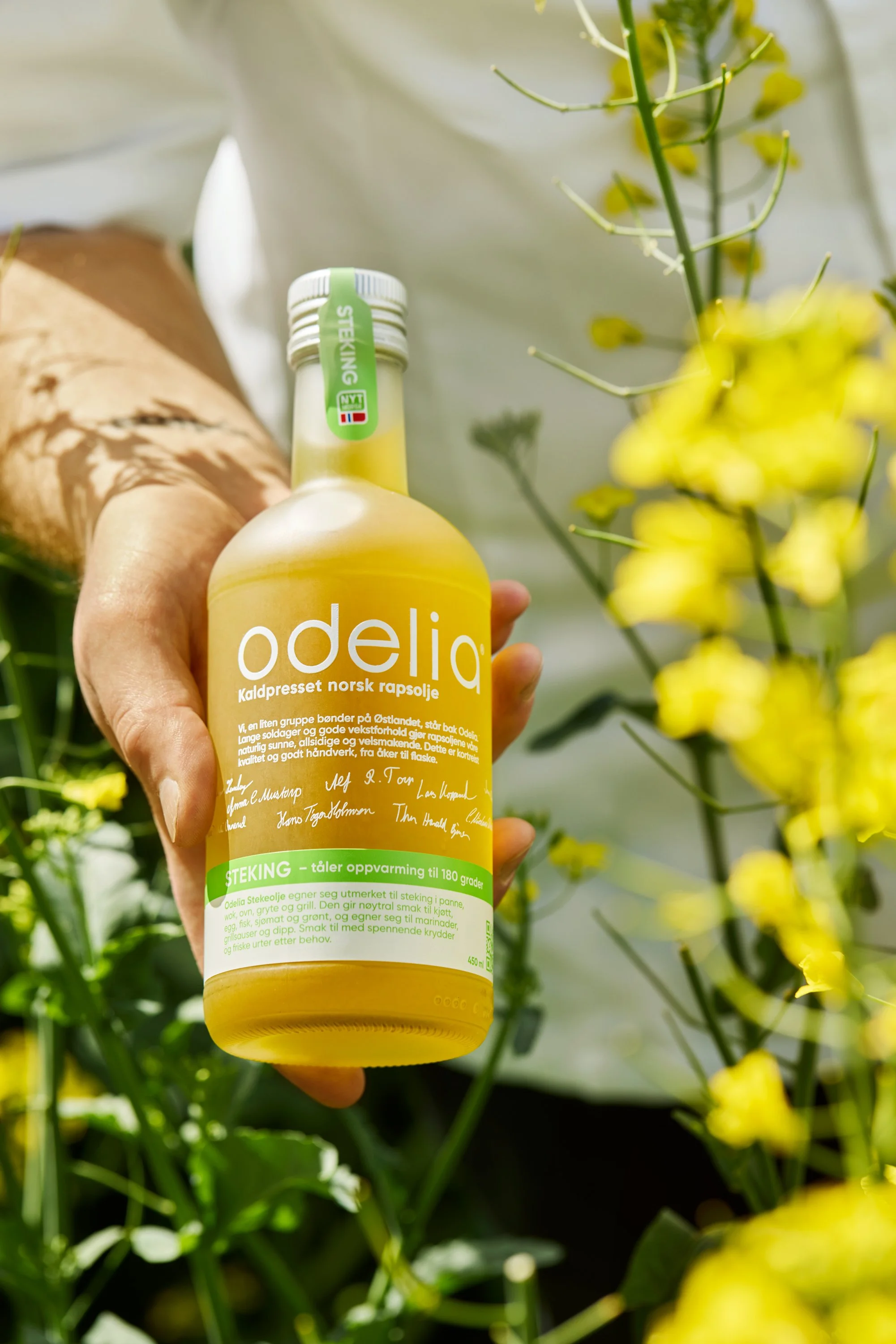 Odelia Kaldpresset Rapsolje holdes av hånd i raspåker