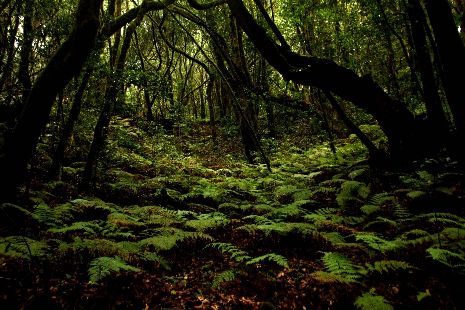 Location_044.jpg