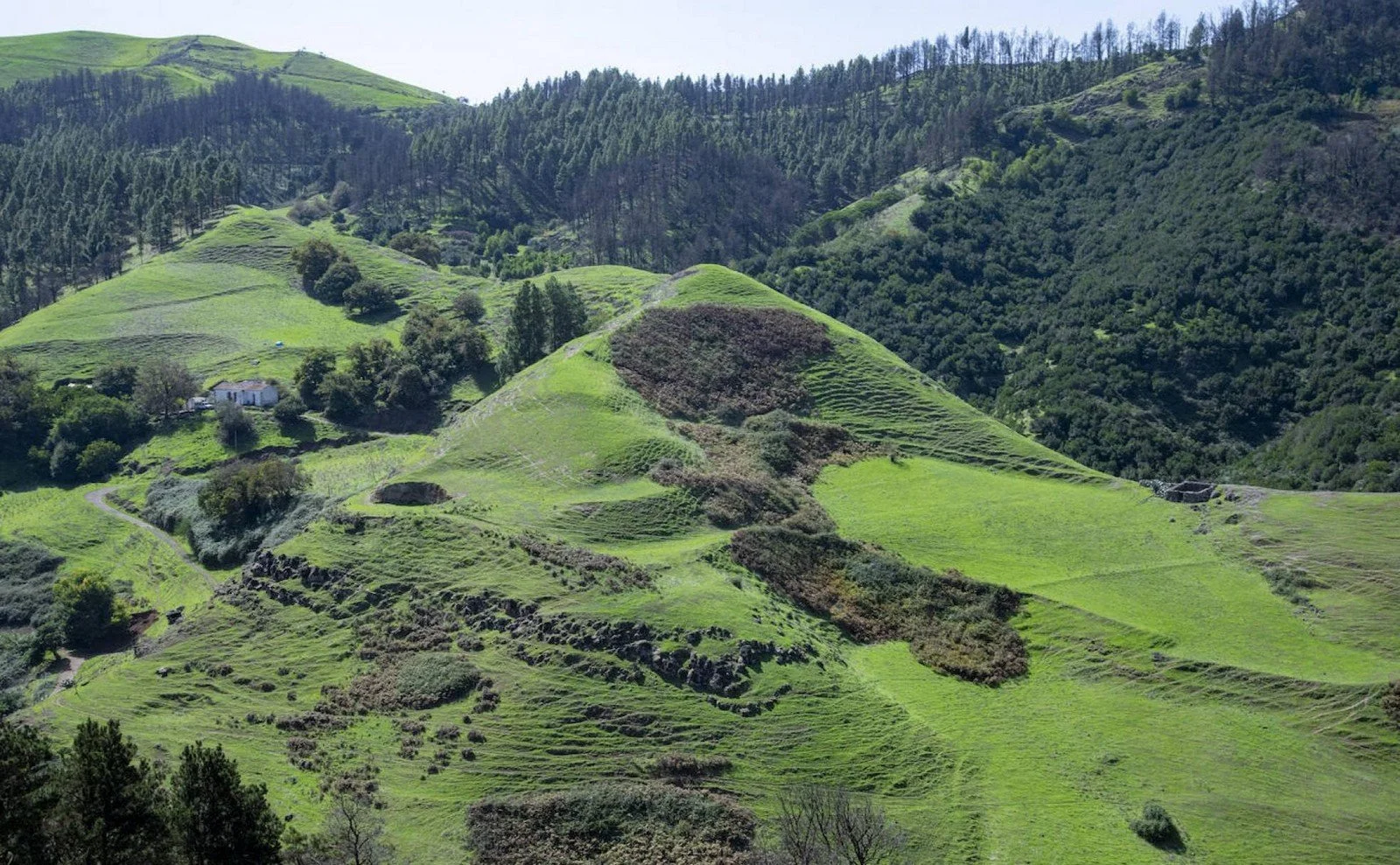 Location_043.jpg