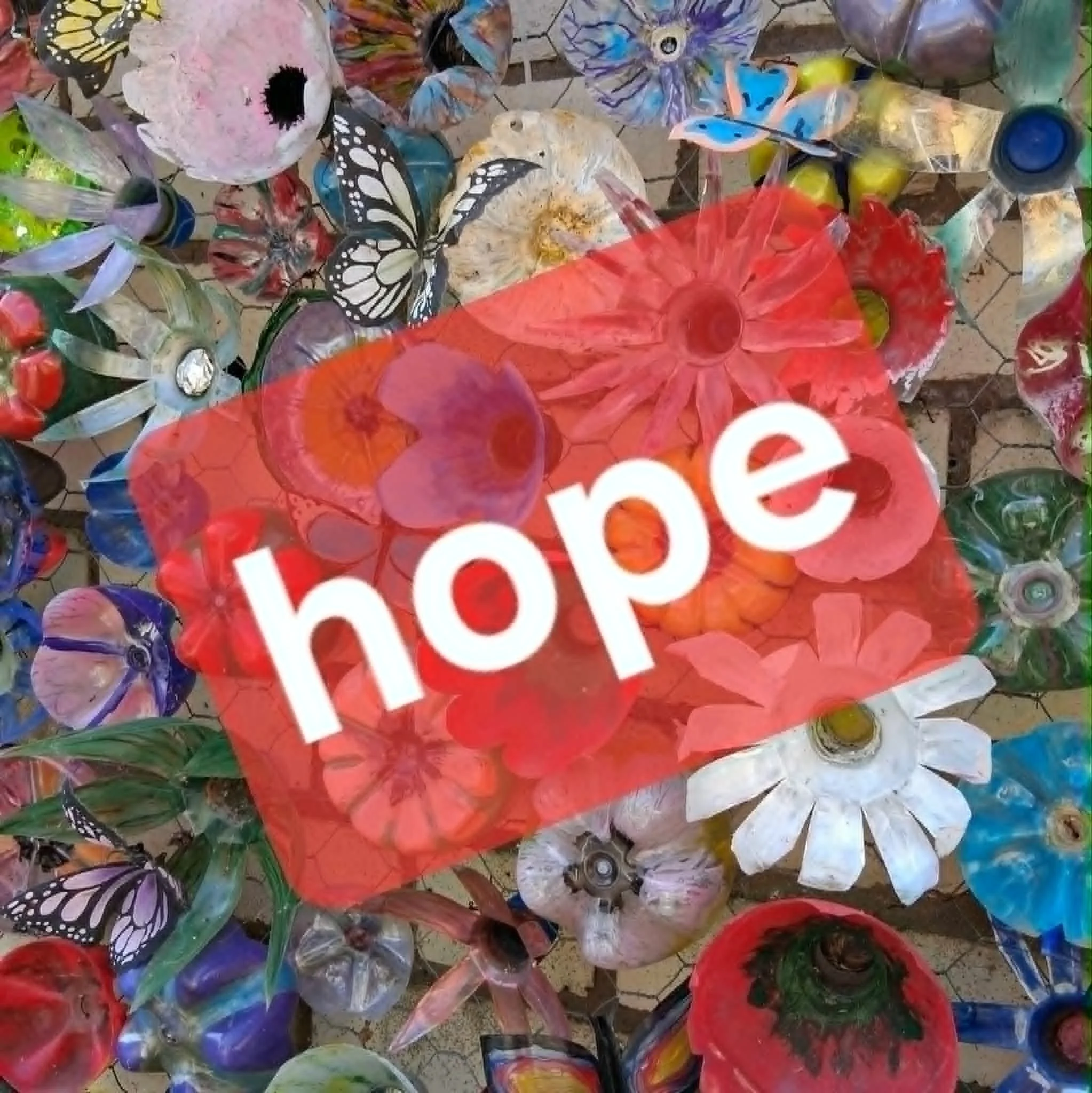 Searching for hope while doomscrolling