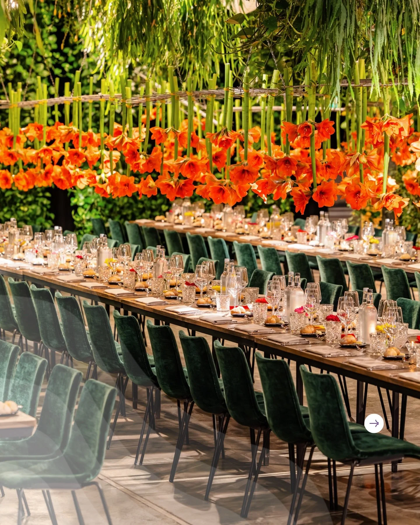 Cava in de hand. 180 gasten aan lange tafels. 🧡

De Arendshoeve als decor voor een avond die rustig begint en steeds verder uitpakt. Een Amsterdamse borrelplank, een cocktailworkshop waar amuses rondgaan en gesprekken vanzelf op gang komen.

Aan taf