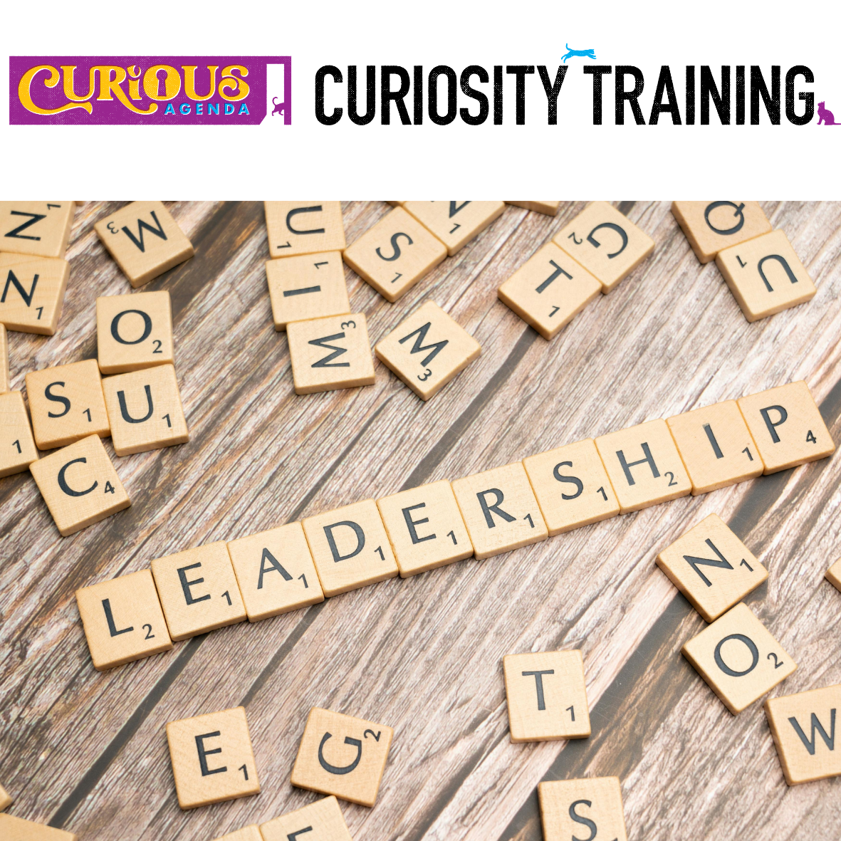 Why Curiosity Is the Most Important Leadership Skill Right Now