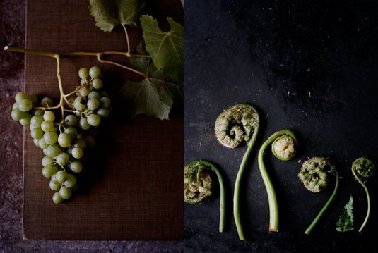 Noma by Ditte Isager