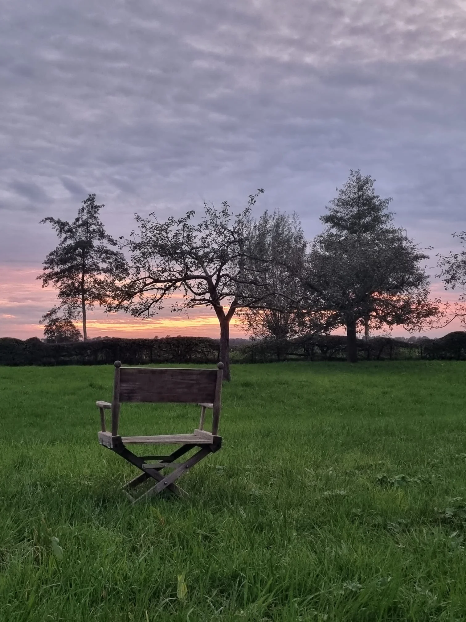 stoel in rustige natuur