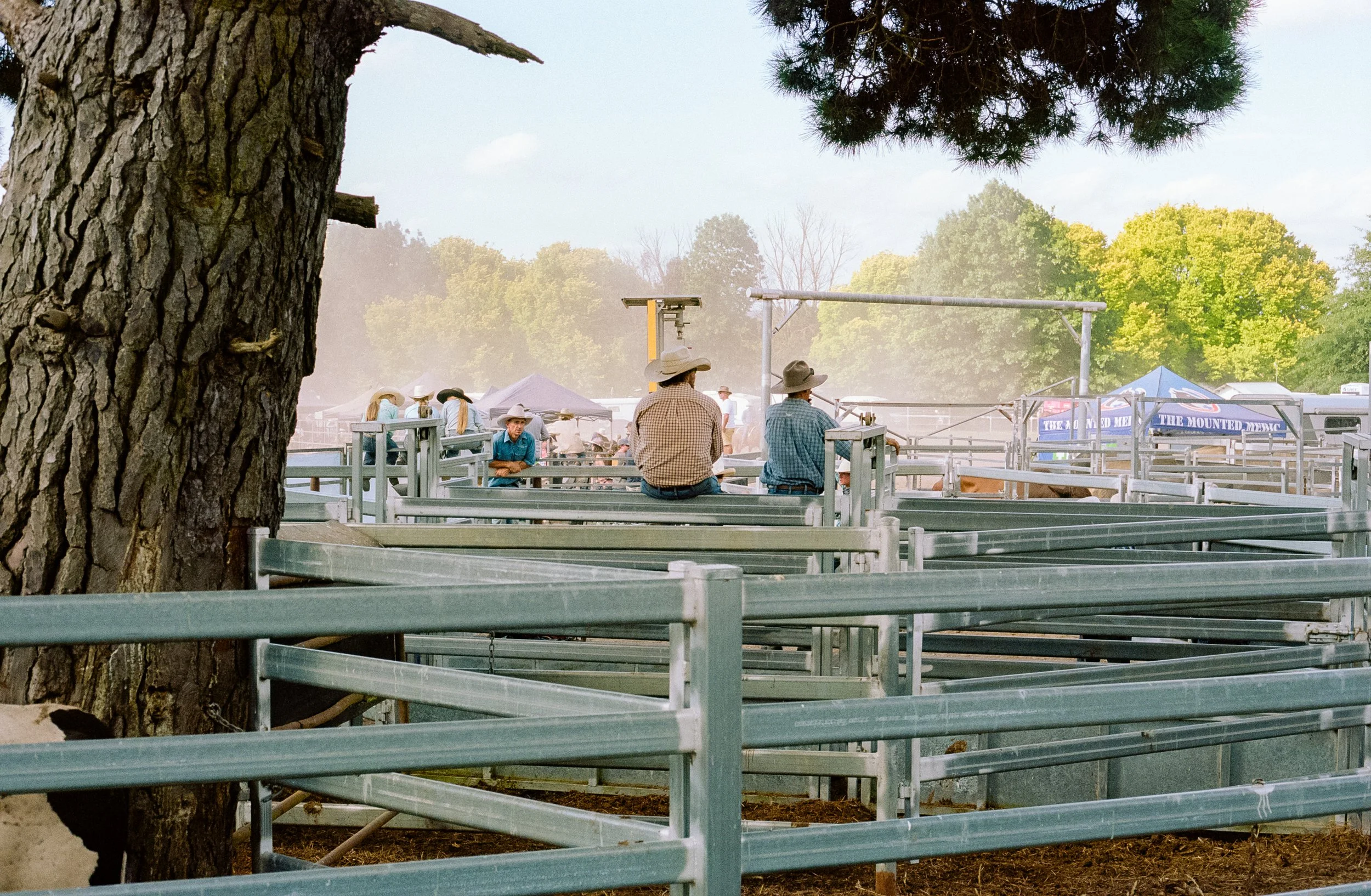 FINALS (7 of 13).jpg