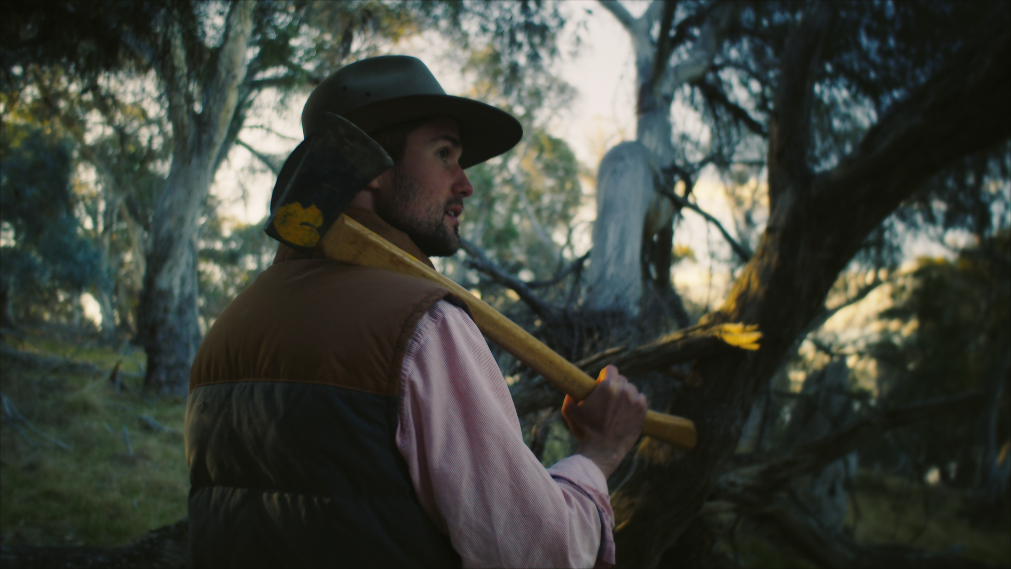 STOV BBQ - 'EUCUMBENE'
