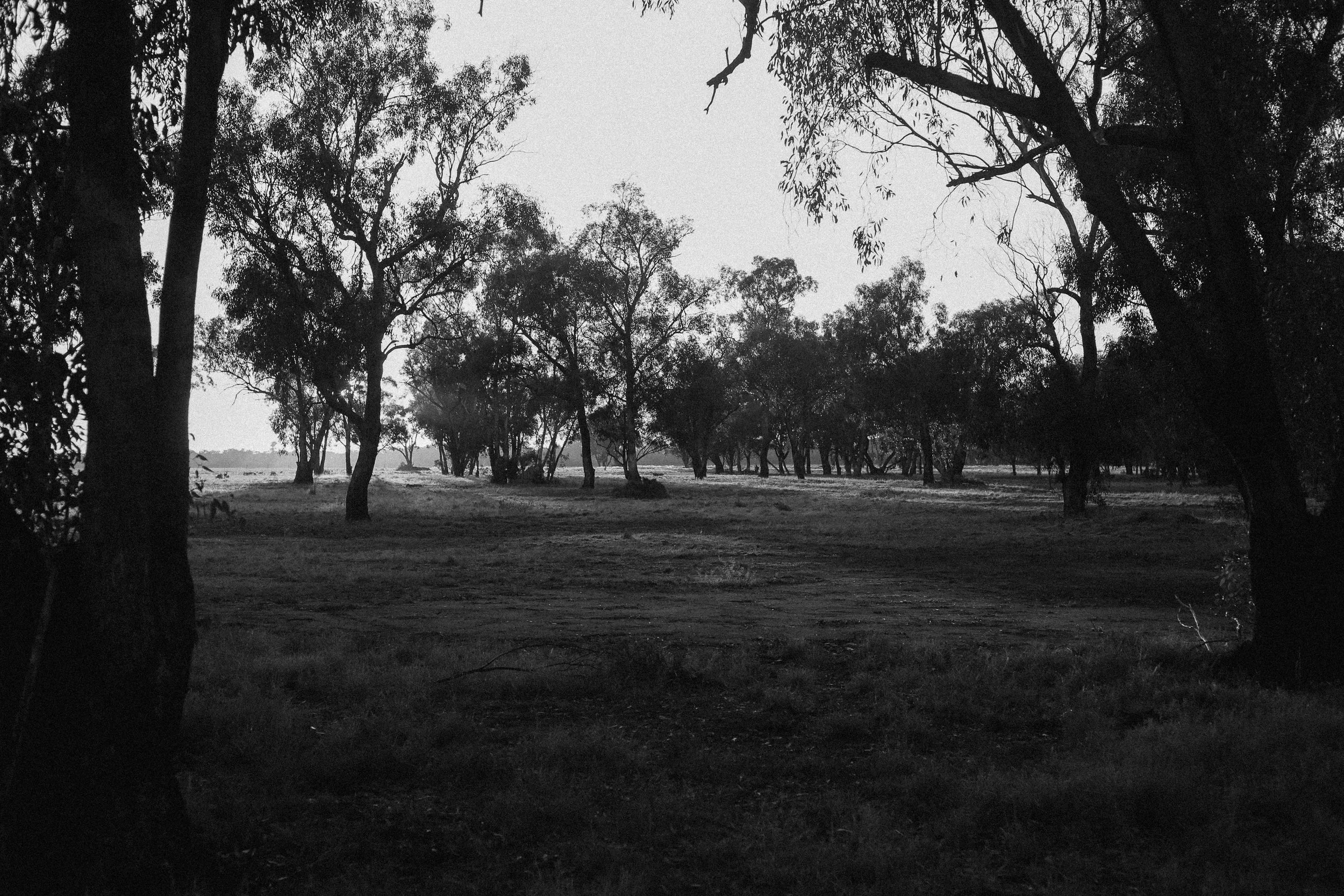 FirstPass (17 of 17).jpg