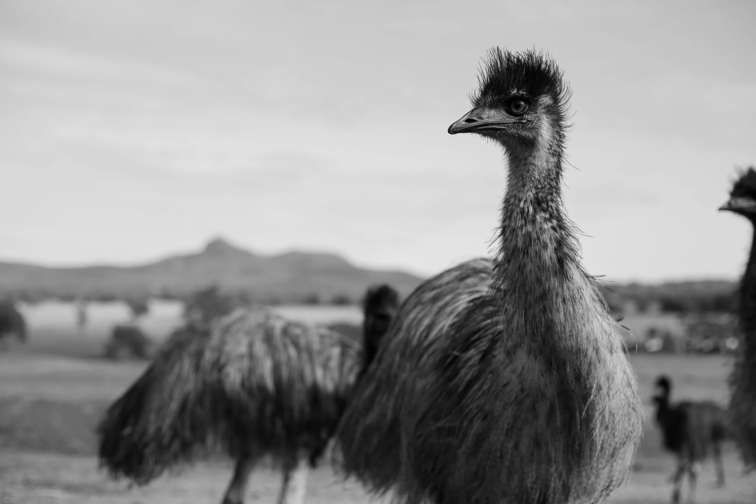 FirstPass (16 of 17).jpg