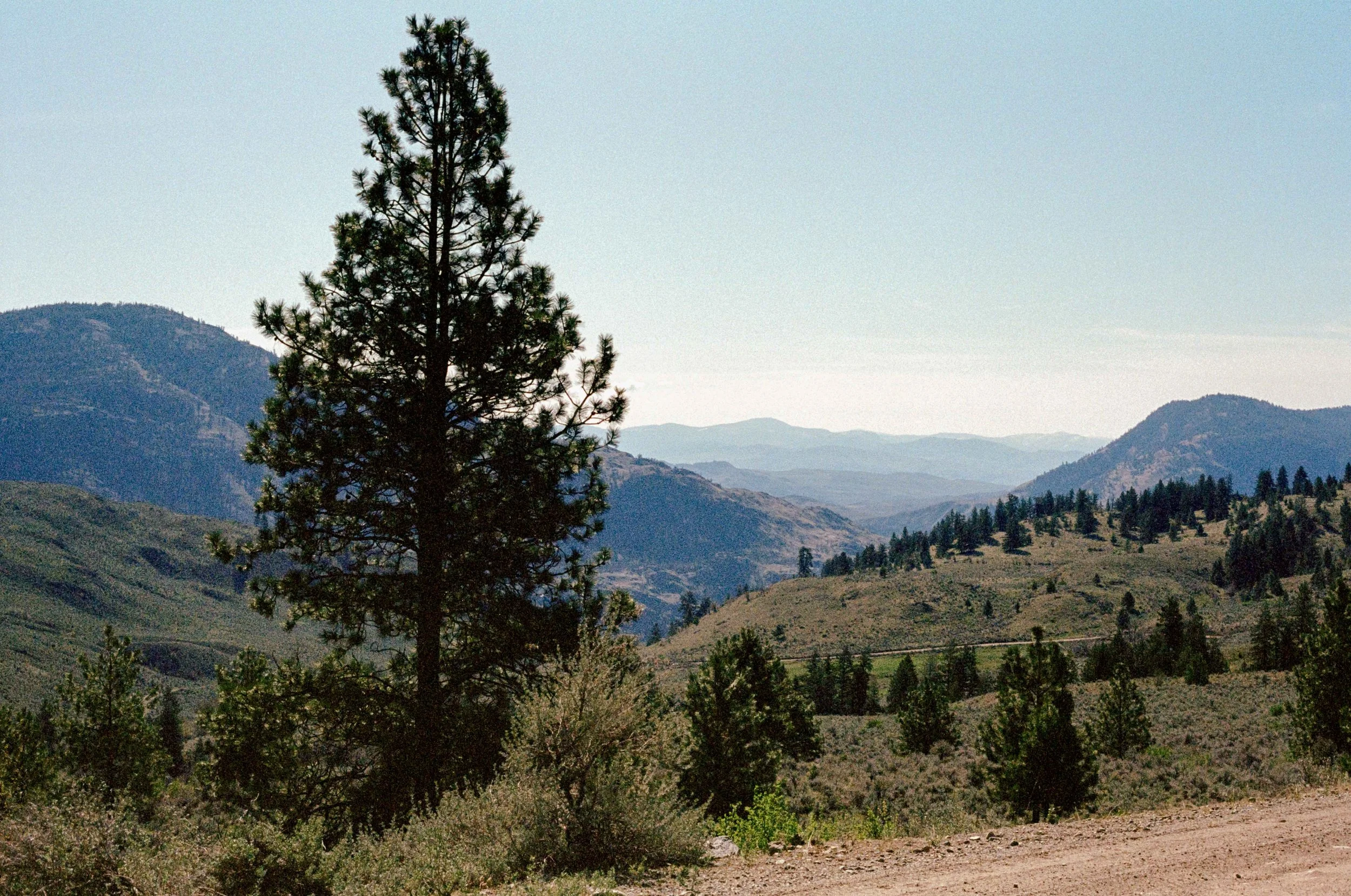 FirstPass (9 of 17).jpg