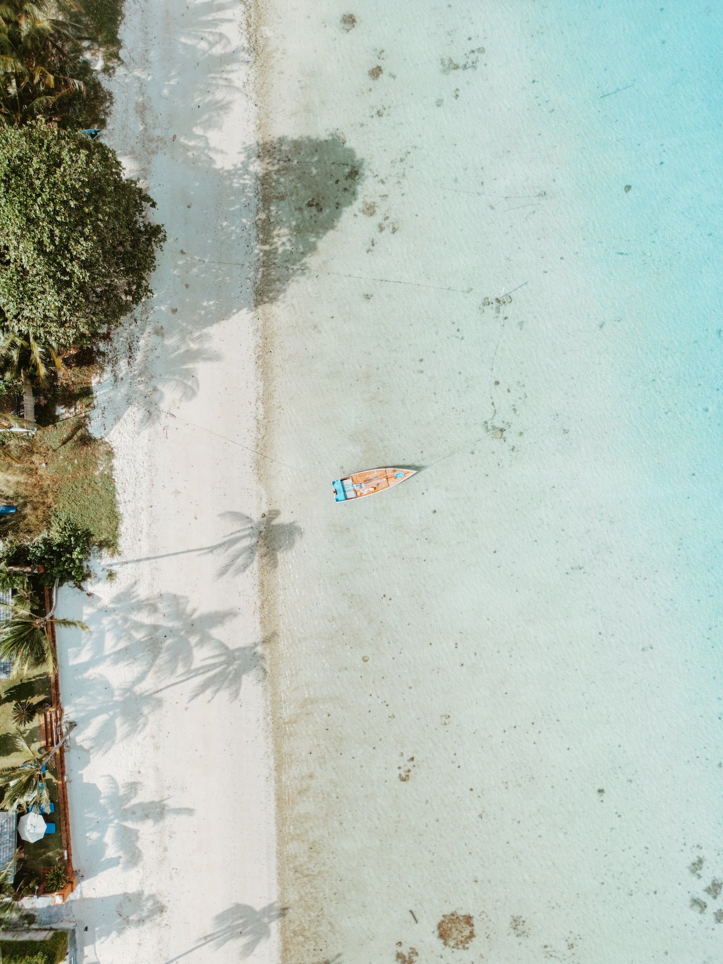 DJI_0784.jpg
