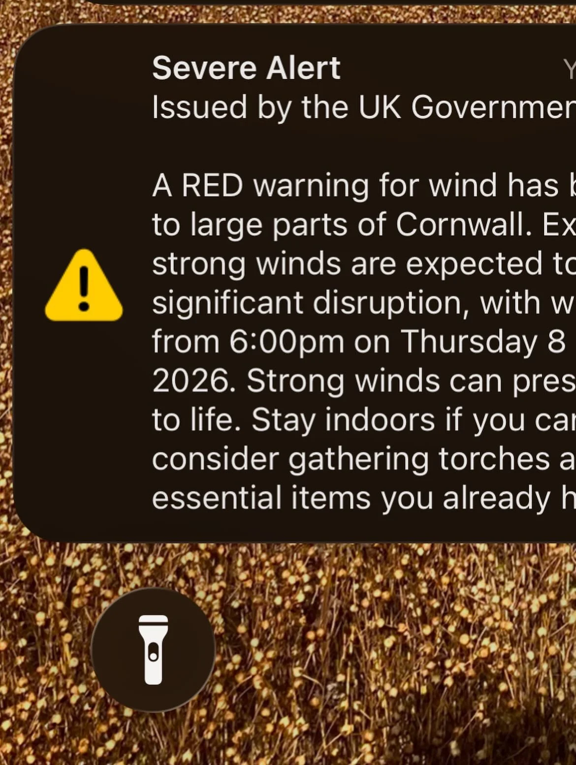 Can 2026 please take a Valium and go to bed? Enough drama already. 
We were caught in the eye of Storm Goretti 😵&zwj;💫 Two big trees down at the end of our garden, very sad, they were our friends. Power cut for three days. Grateful to everyone who 