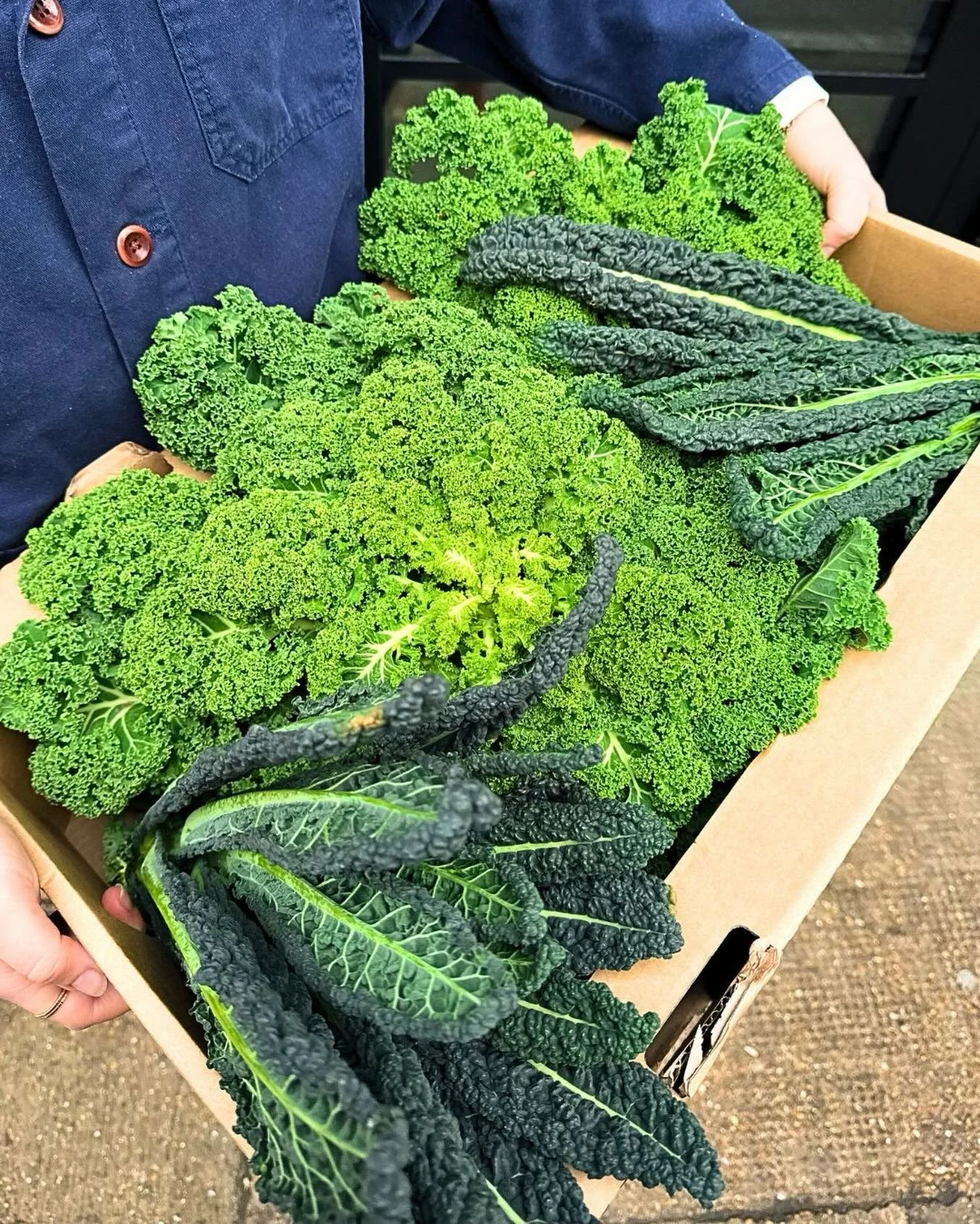 This is an official kale appreciation post 🥬 Supplied by the best of the best @natoora and @shrub.london, this daily delivery not only powers our Kale Caesar but is used across the menu. Fibre, iron, antioxidants and vitamins A, C and K - it&rsquo;s