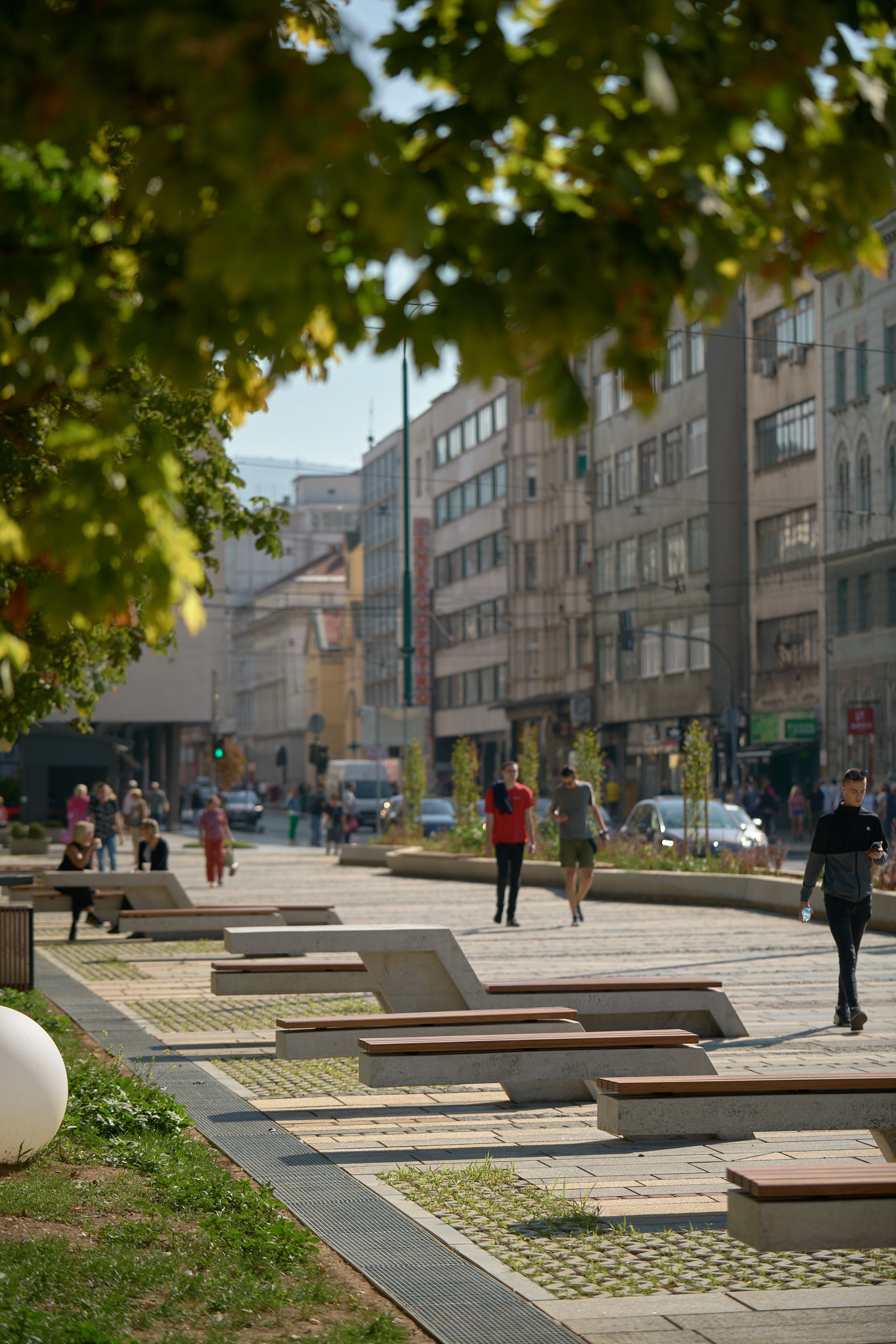 sarajevo zec 2023 37.jpg