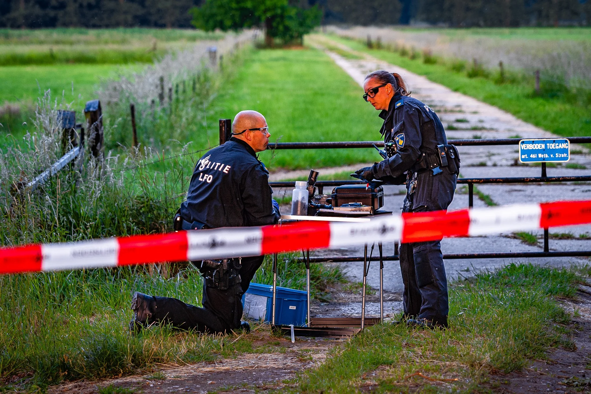 e49516cc-dc9a-49df-aa50-6a8efcccd50a_8RA9ndlPnlLAjpg.jpeg