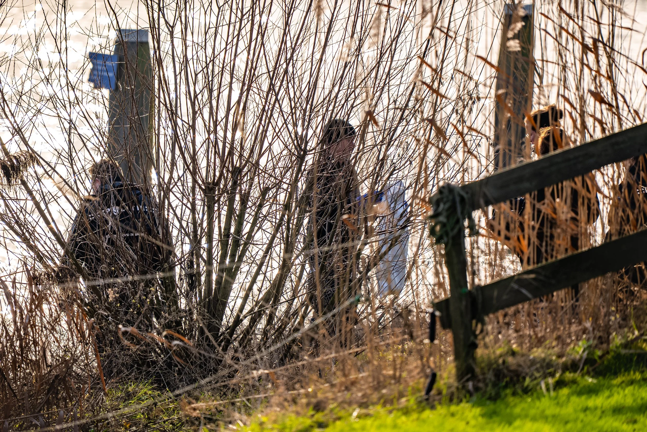 c93986aa-6a66-480b-aafb-e7601ad99499 (1).jpeg