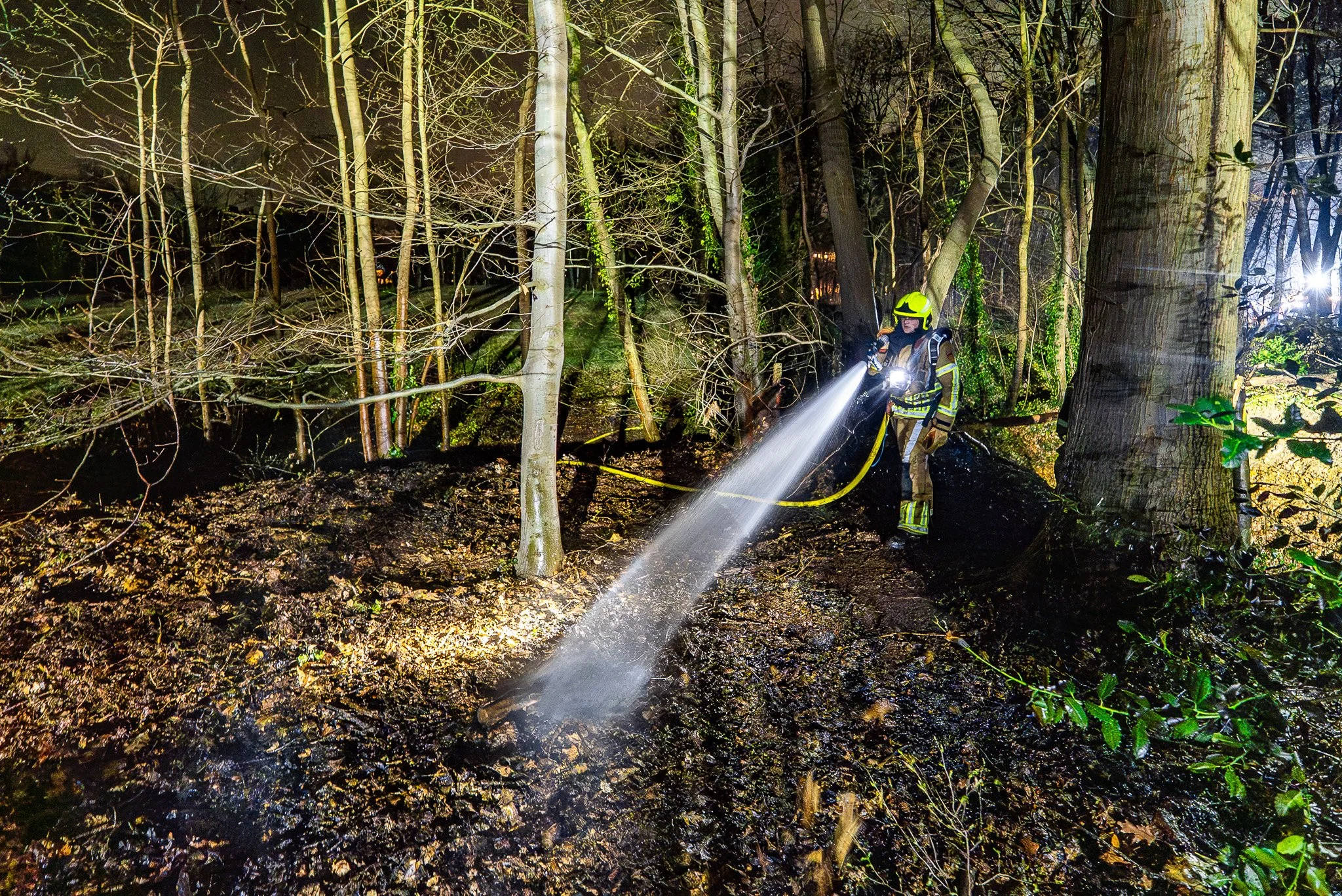 d6d8bcaf-b11d-4204-b338-d6d1b120adfb (1).jpg