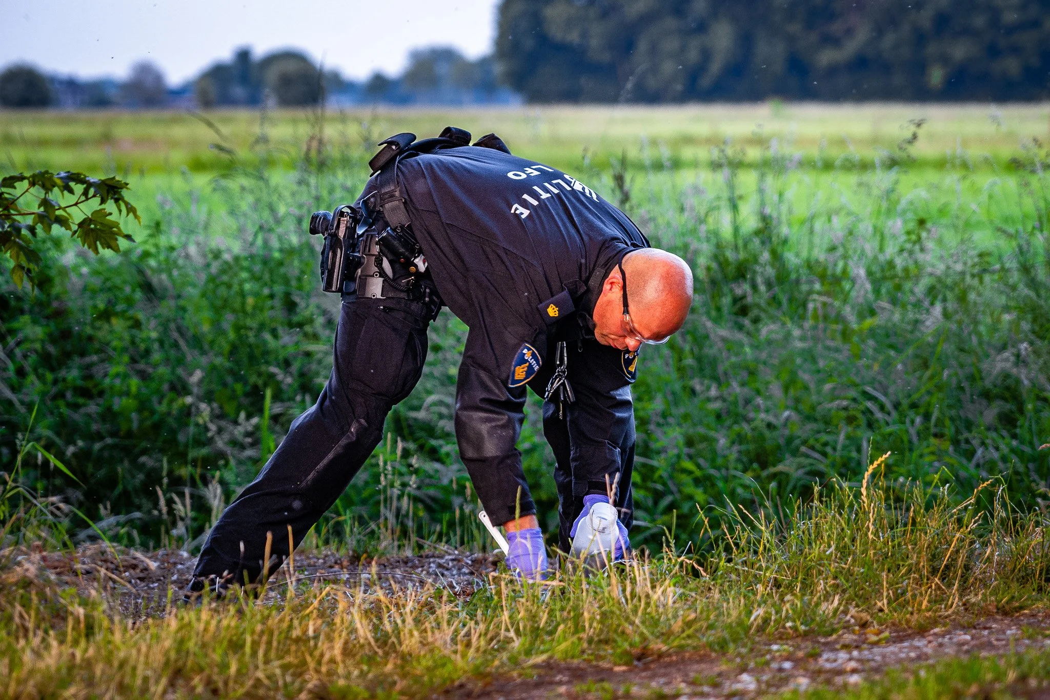 f13b6c86-d366-4bff-b41a-fcb0422cf8db_LP7isA3eeS0ejpg (1).jpeg