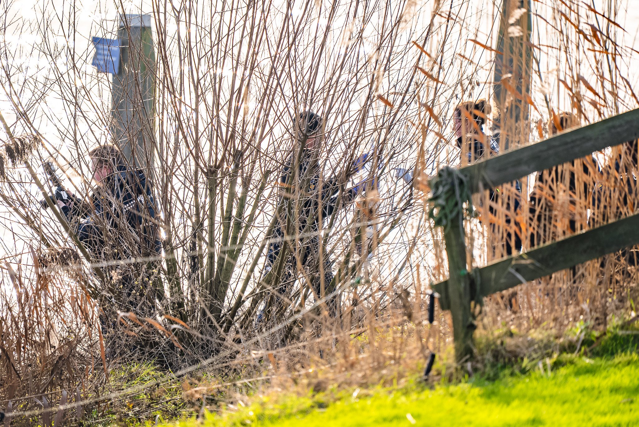 2dbda601-247a-4ca6-ba79-678ce08d1561 (1).jpg