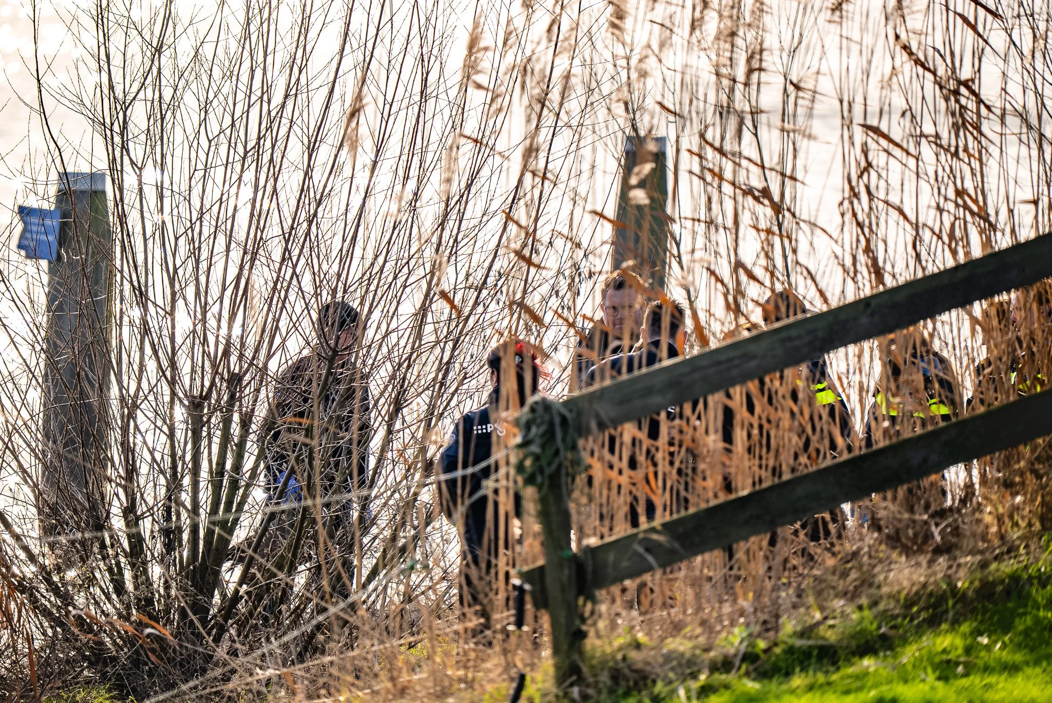 c12fc9b8-44be-4fd8-9bef-65338c01bf35 (1).jpg