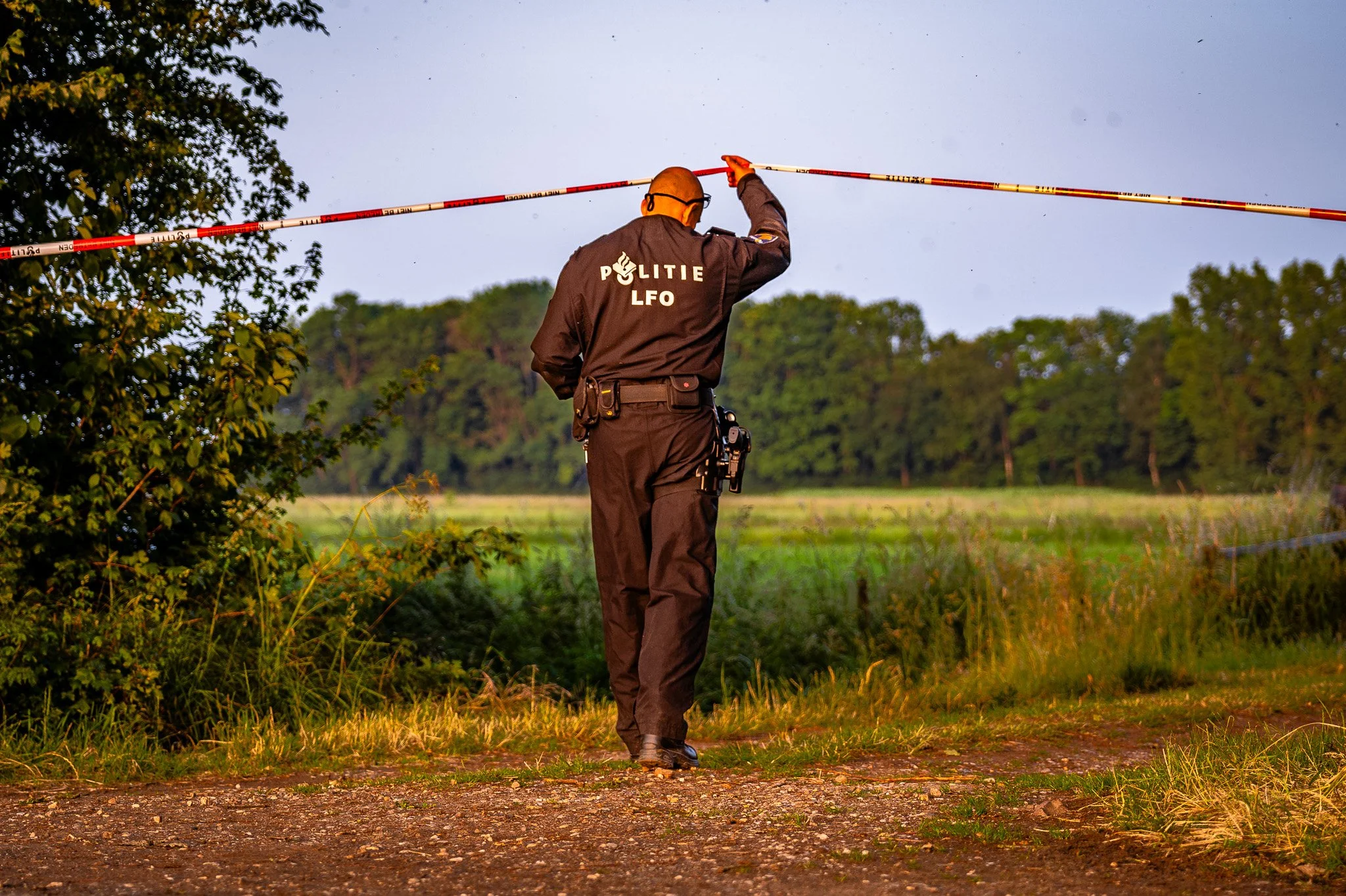 24567f89-1c18-40c9-aeb1-de35daf944dd_c6I63PKjmU1qjpg.jpeg