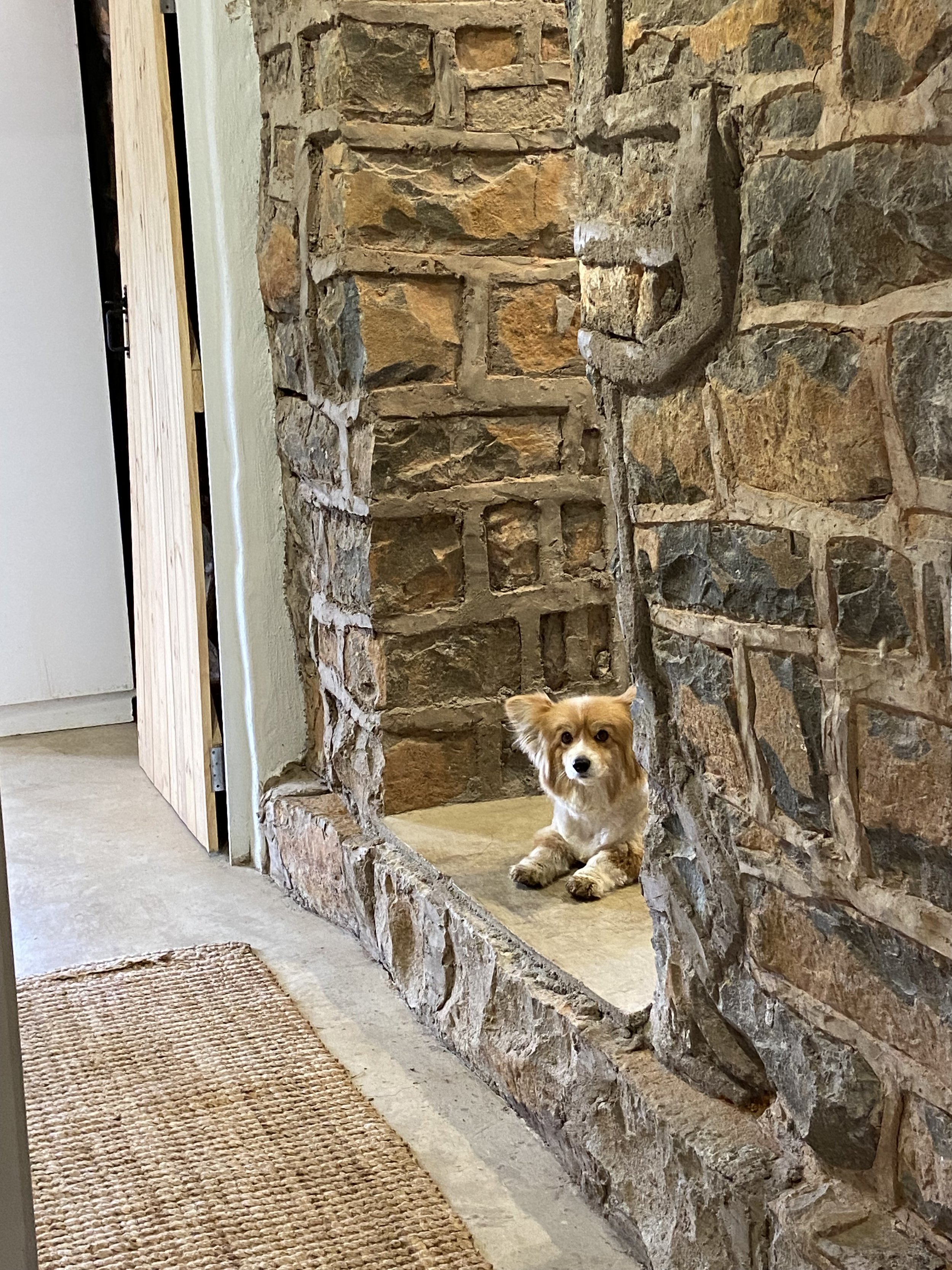 Stables (+ Gigi the corgi)
