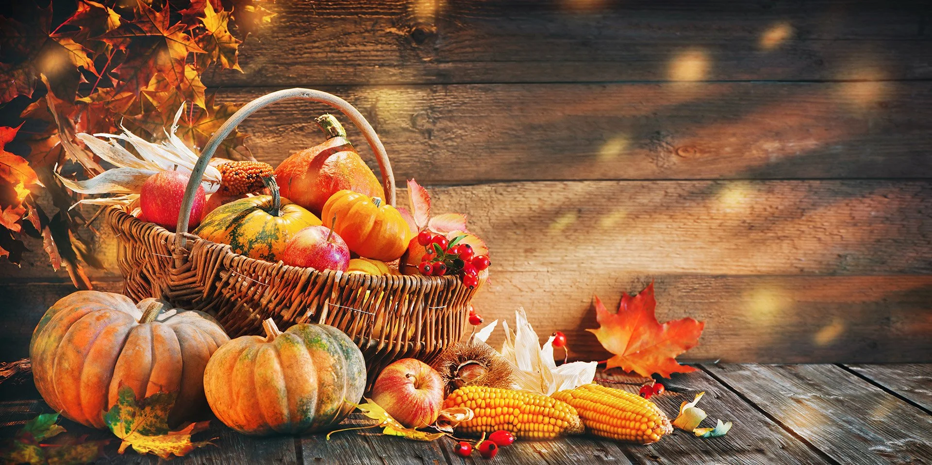Harvest Supper