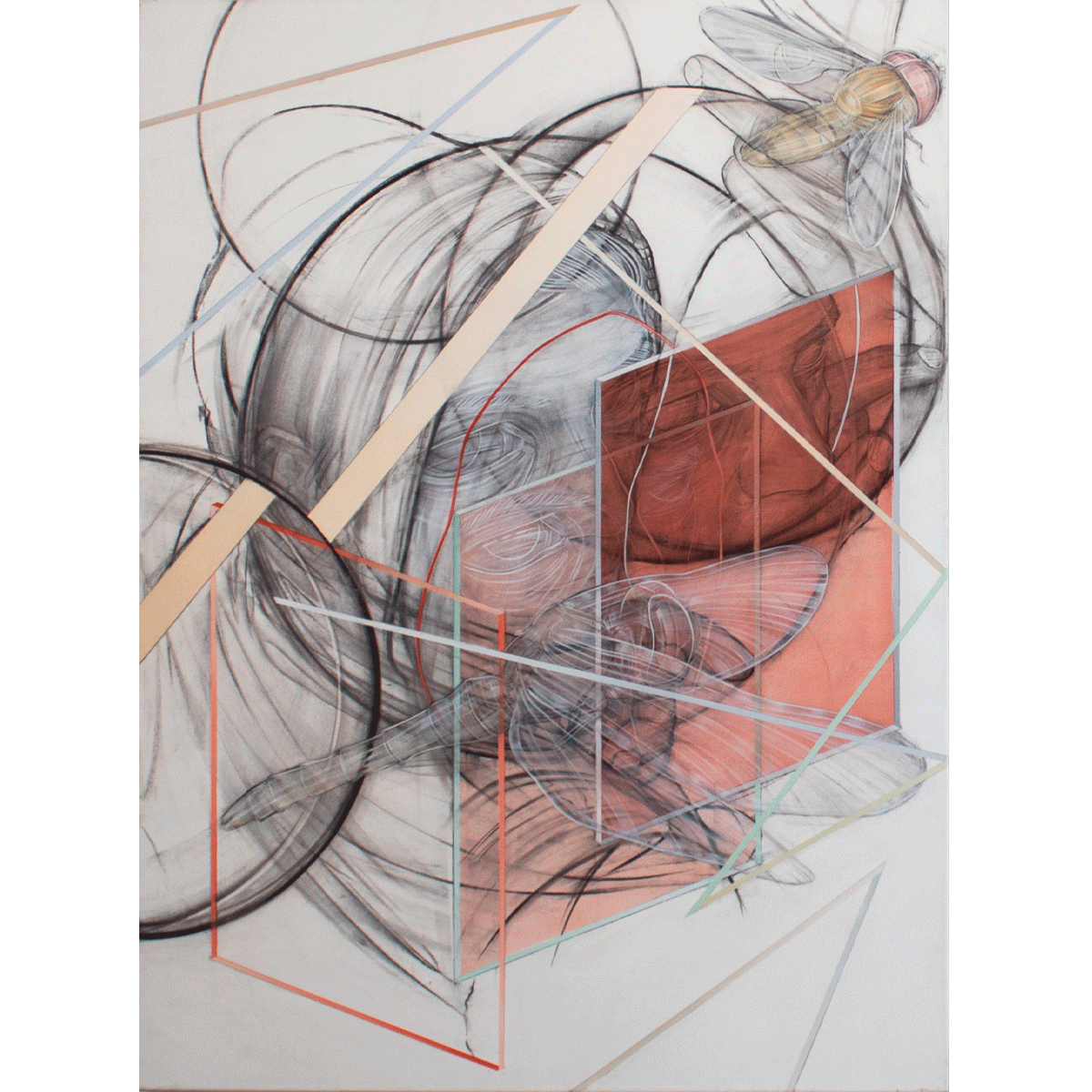 webshop_neu_2407_0000s_0001_zugunruhe2.png