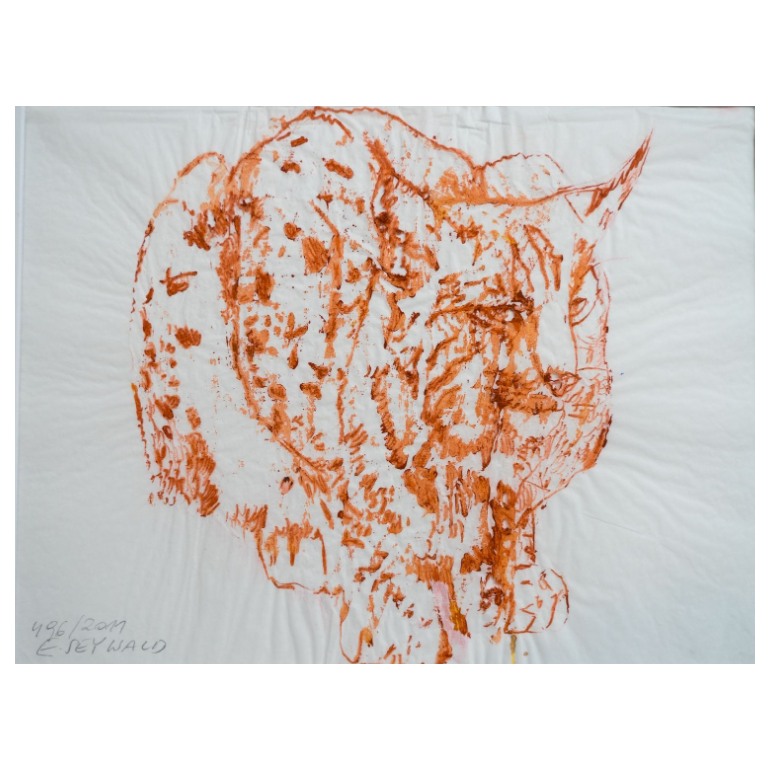 Luchs