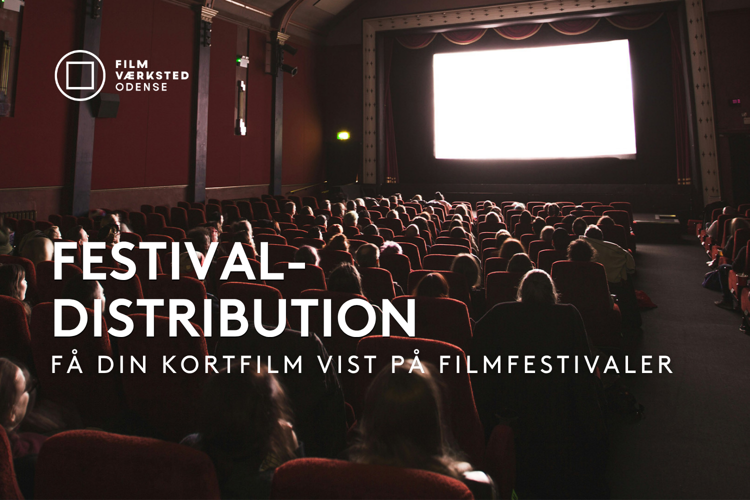 WORKSHOP: FESTIVAL-DISTRIBUTION