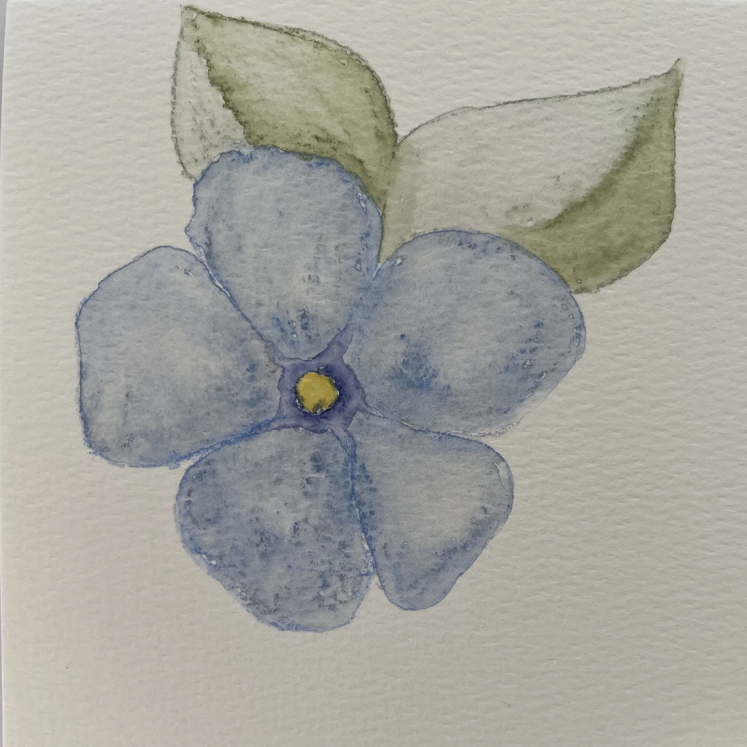 watercolor of blue flower with sage green leaves