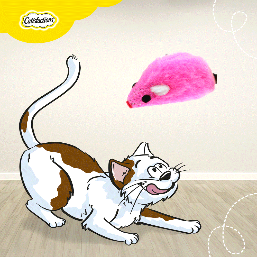 CATISFACTIONS-JOUETS_DEF.gif