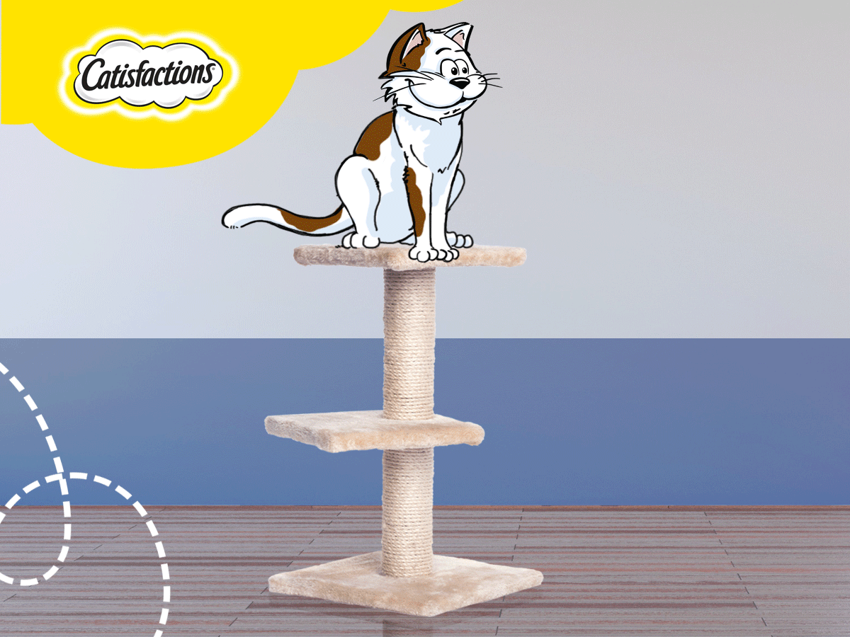 CATISFACTIONS-CATVISION-DEF5.gif