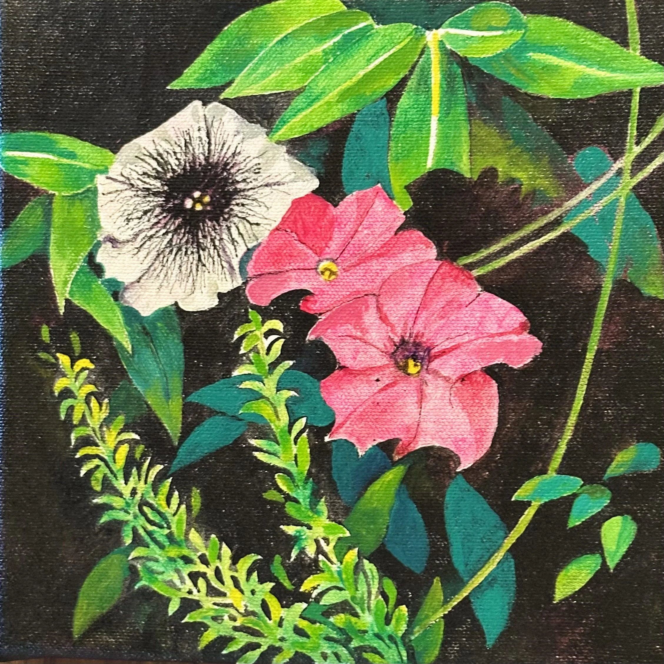 Petunias - Garden - (20cm x 20cm) - Oil on Canvas - £280