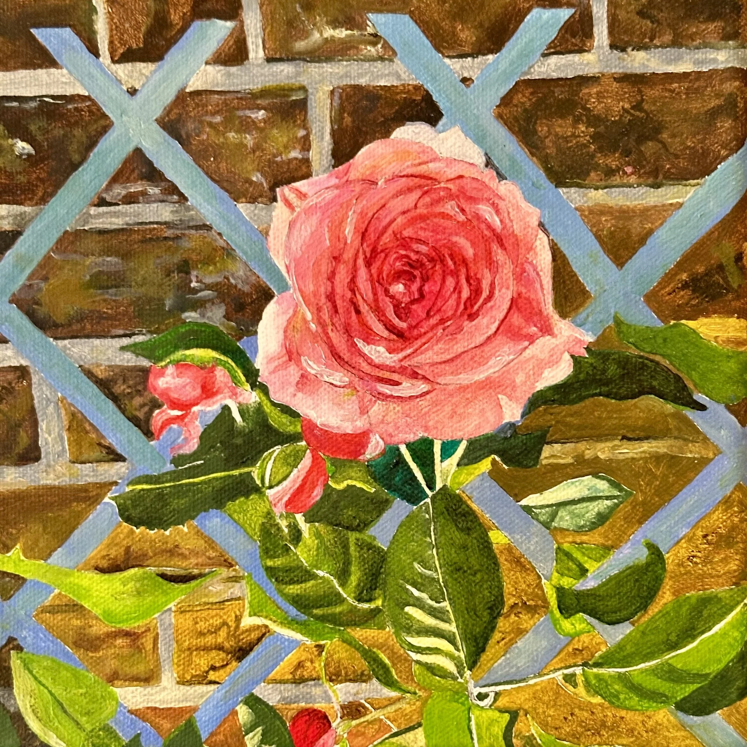 Rose- (20cm x 20cm) - Oil on Canvas - £280