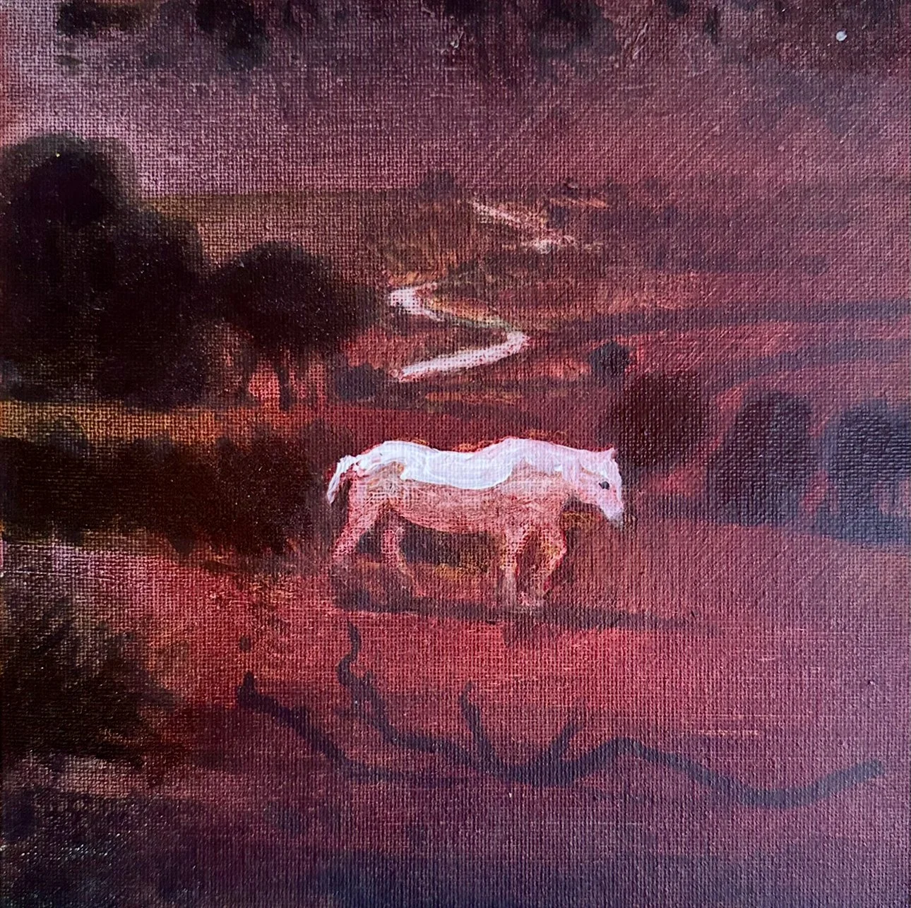 The Old White Work Horse - (20x20cm) - £325