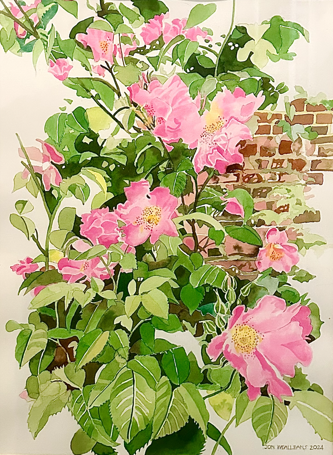 London Back Garden - (50cm x 40cm) - Framed Watercolour - SOLD