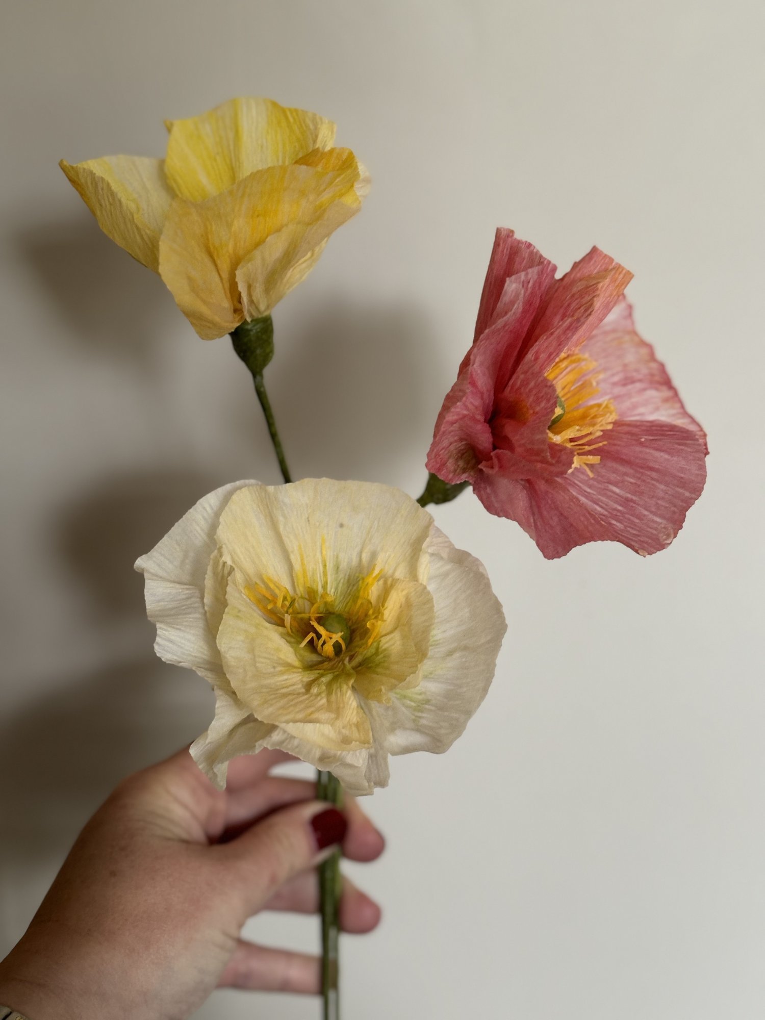 IMG_0173.jpeg
