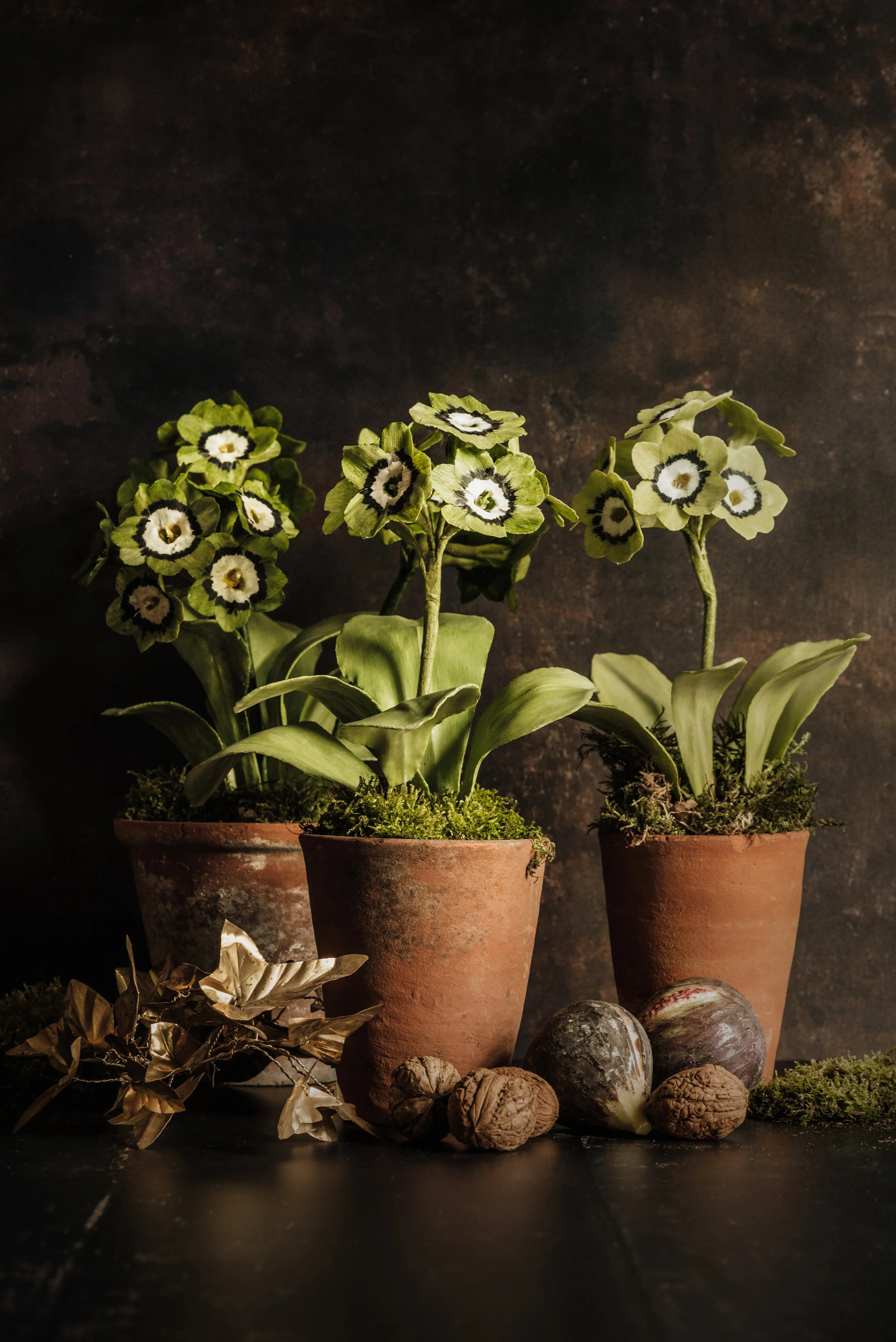 Fleurs-de-Cire-Ruth-Yardy-Photography_001 2.jpg