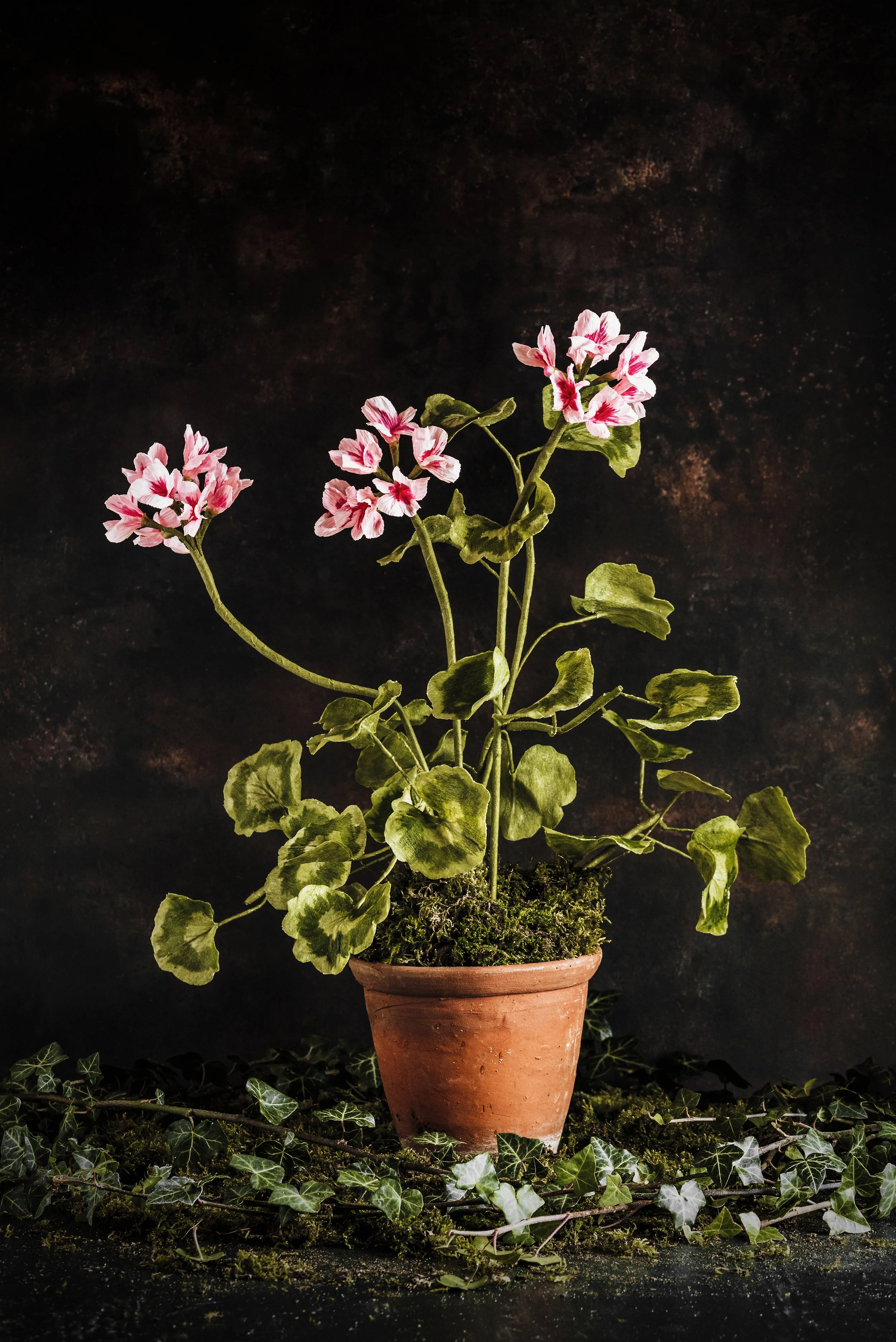 Charlotte Hepworth Wax Flower Day 14th October 2026 – Geraniums