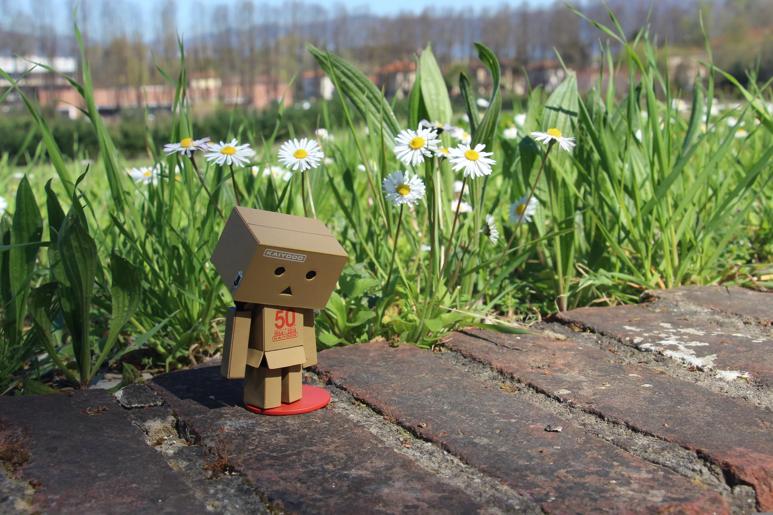 The tests are normal – now what?!