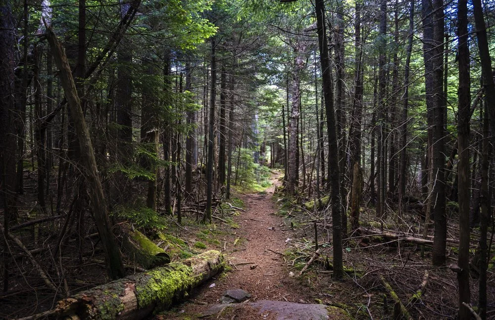 Catskill Center Celebrates Historic NYS Budget Wins for the Catskills