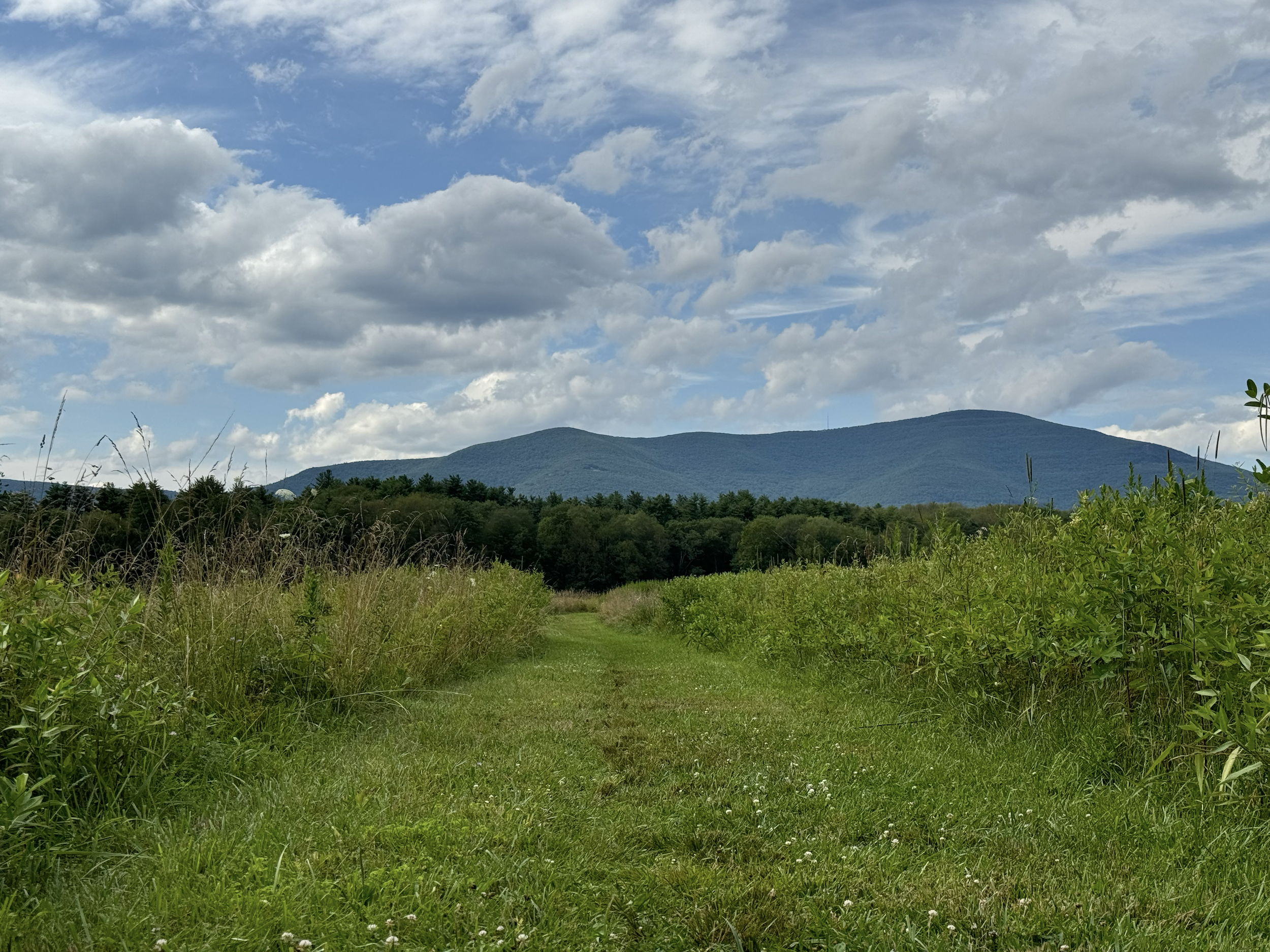 Catskill Center Announces Dog-Free Policy at Thorn Preserve