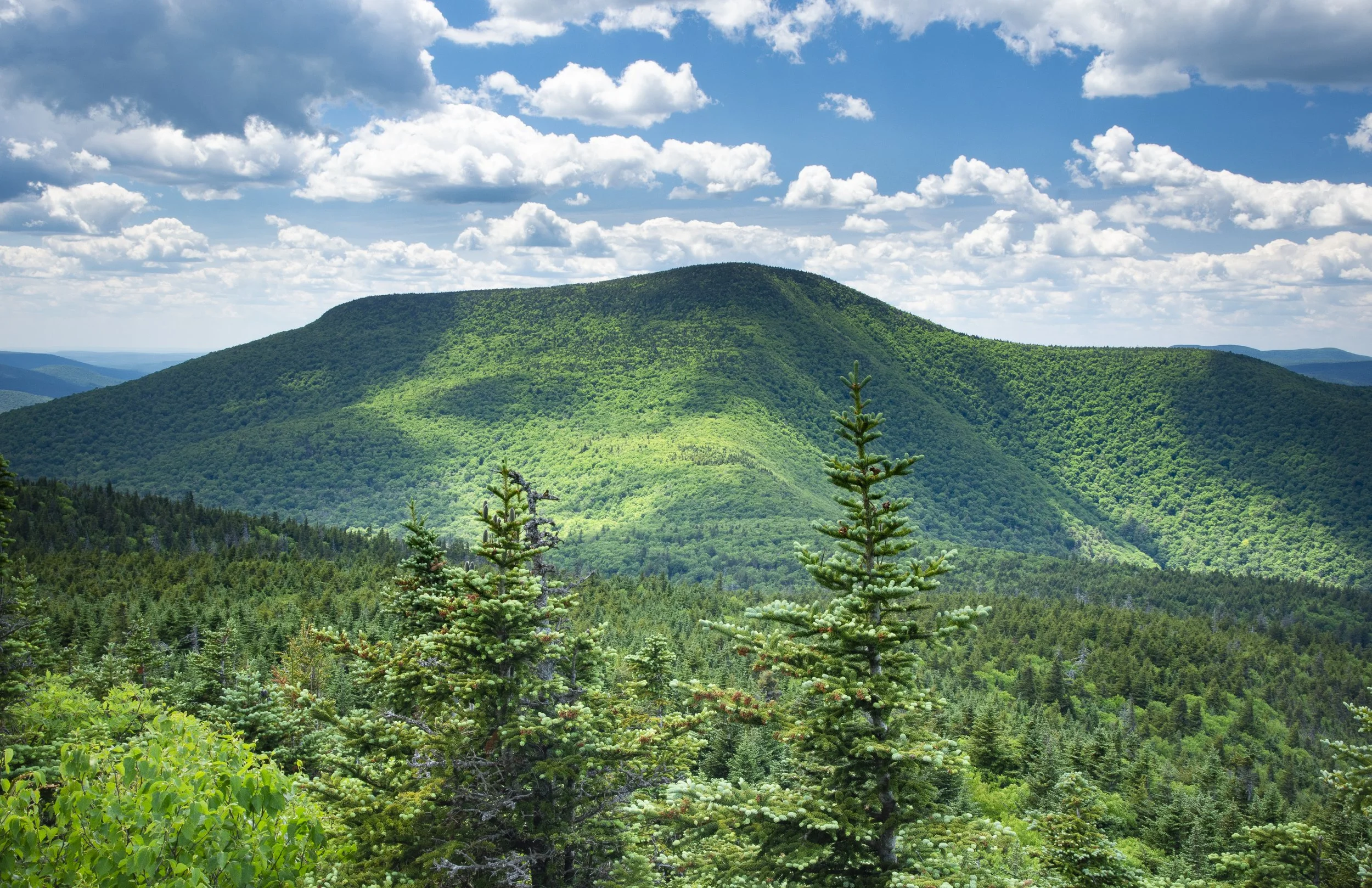 NY Governor’s Budget Proposal Retains Key Funding for Catskill Park and Congressman Maurice D. Hinchey Catskills Visitor Center