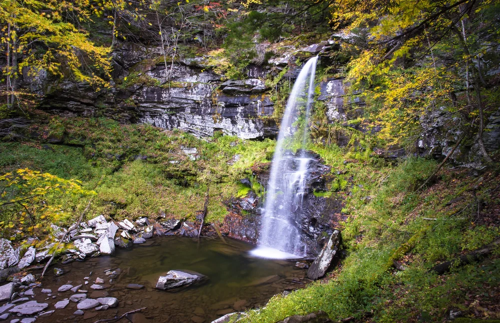 Catskill Center Earns National Recognition