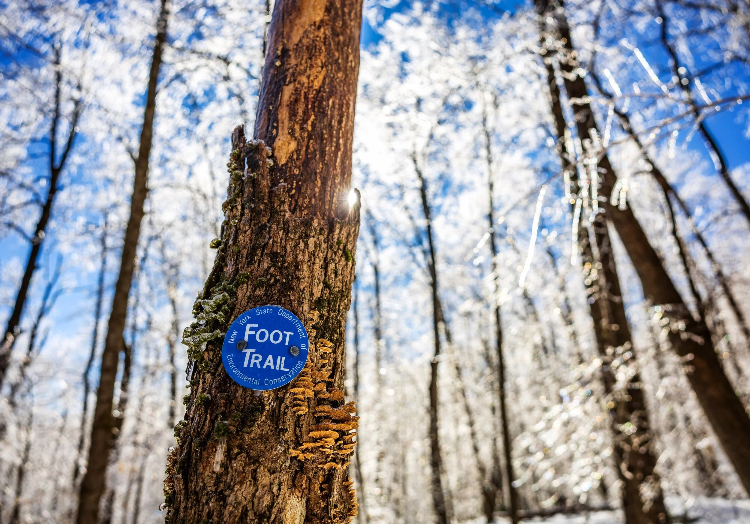Catskill Center Applauds Governor Hochul’s Continued Commitment to the Environmental Protection Fund