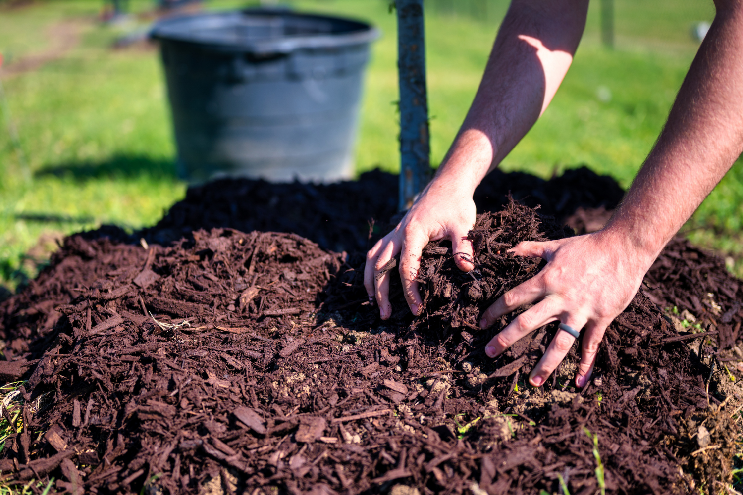 CRISP Partners Virtual Meeting Featuring NAISMA