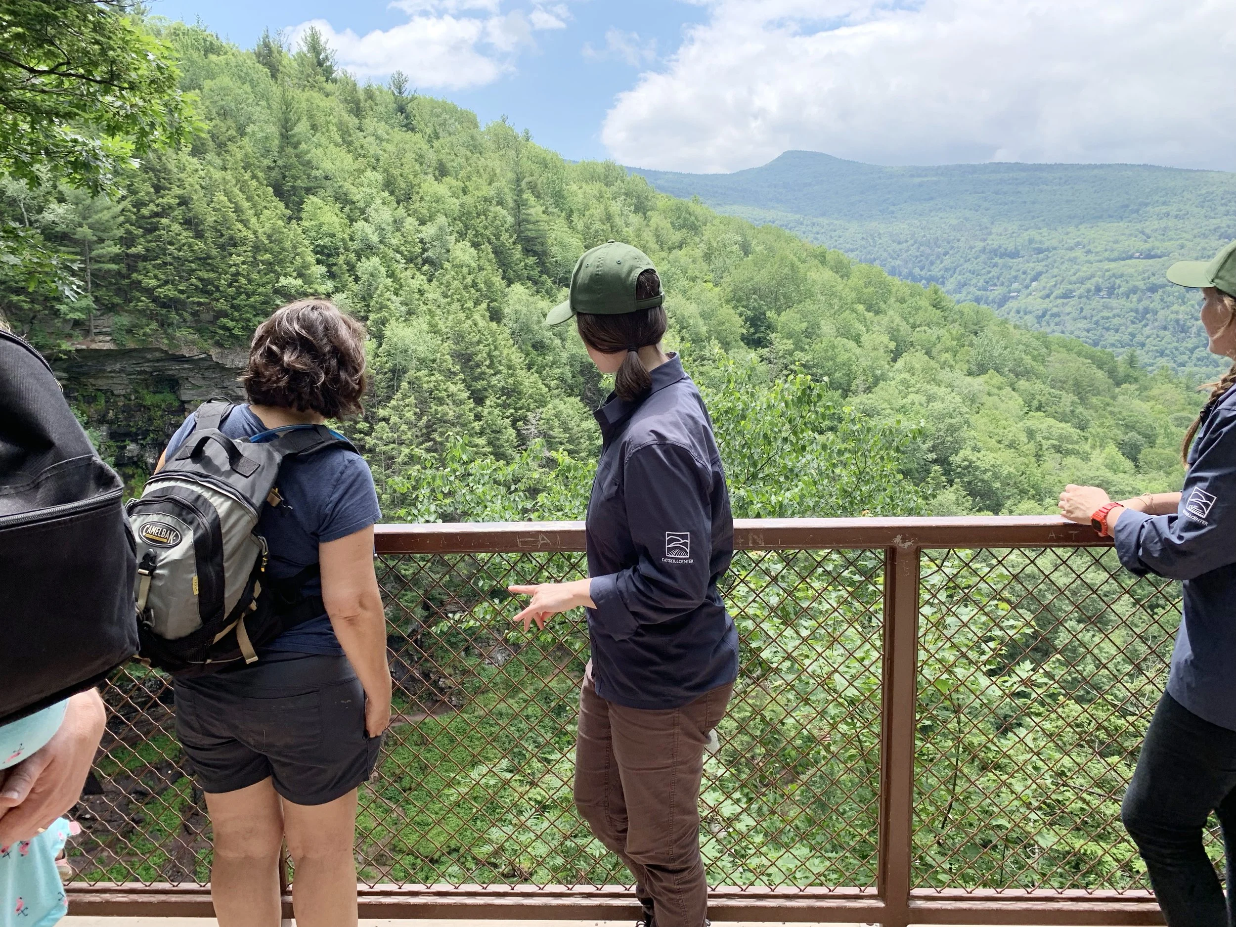 Catskill Center Statement on the EPA’s Endangerment Finding Reversal